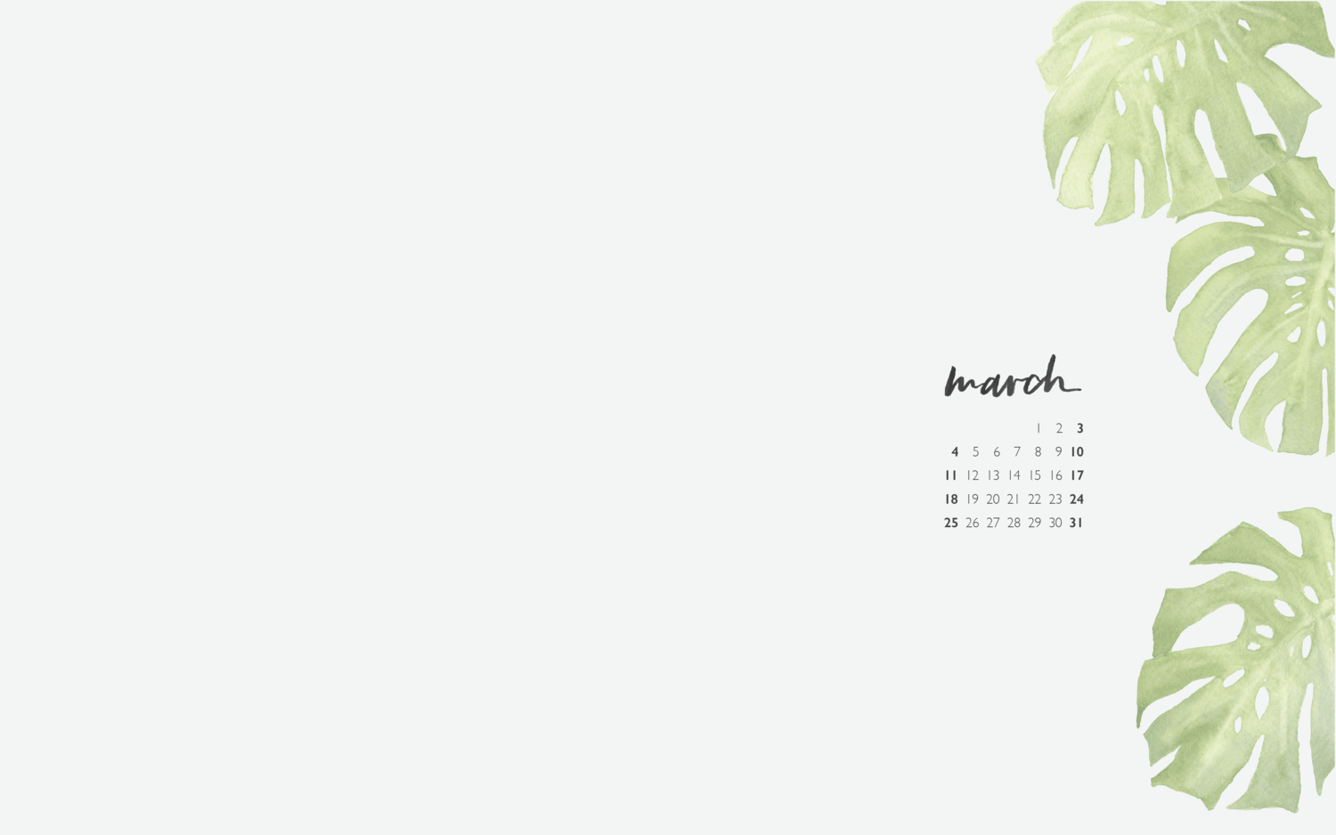 Monstera Desktop Wallpapers - Top Free Monstera Desktop Backgrounds ...