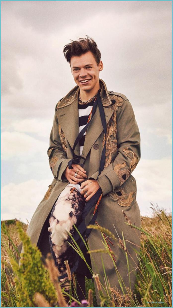 698x1241 How To Have A Fantastic Harry Styles HD Wallpaper With