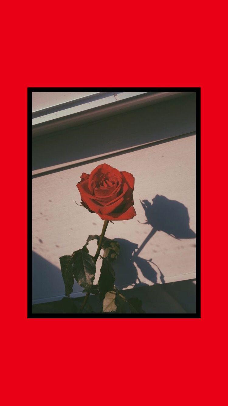 Red Pastel Wallpapers Top Free Red Pastel Backgrounds WallpaperAccess