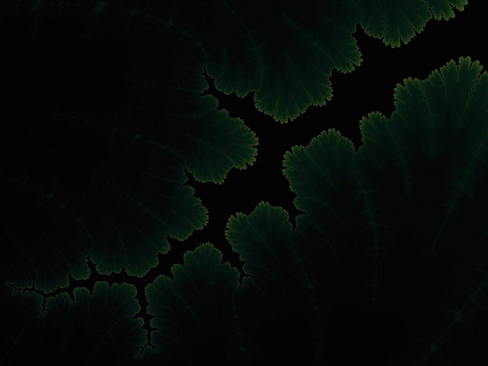 1600x1200 Green Plants Dark Amoled 1600x1200 Resolution HD 4k Wallpaper, Image, Background, Photo and Picture