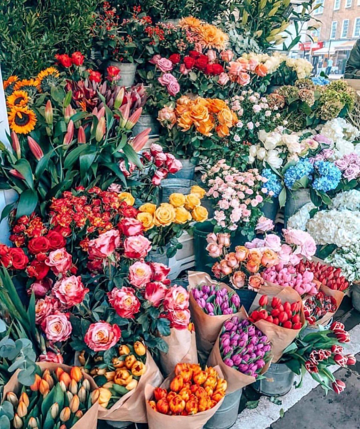 Flower Shop Wallpapers - Top Free Flower Shop Backgrounds - WallpaperAccess