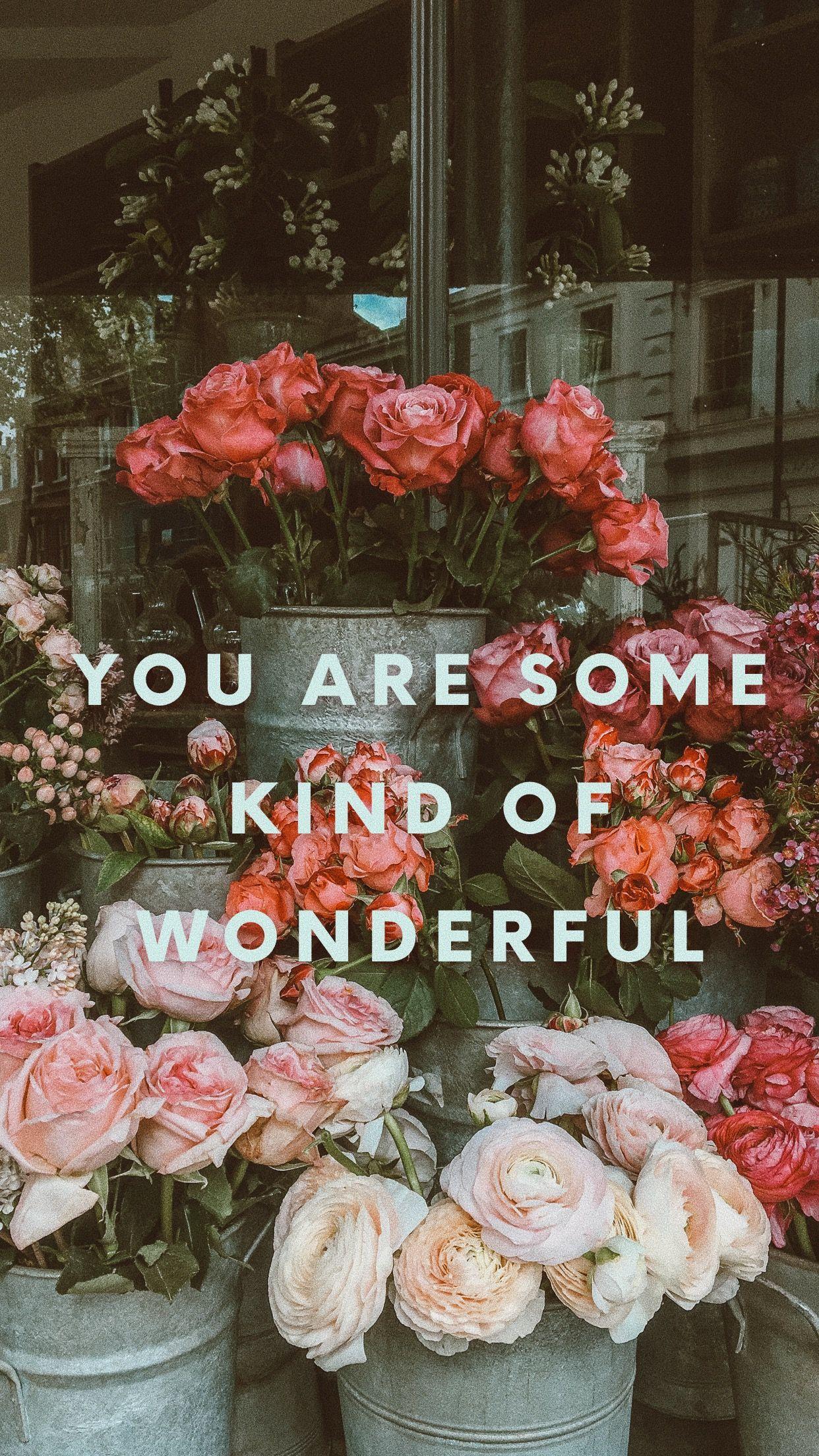 Flower Shop Wallpapers - Top Free Flower Shop Backgrounds - WallpaperAccess