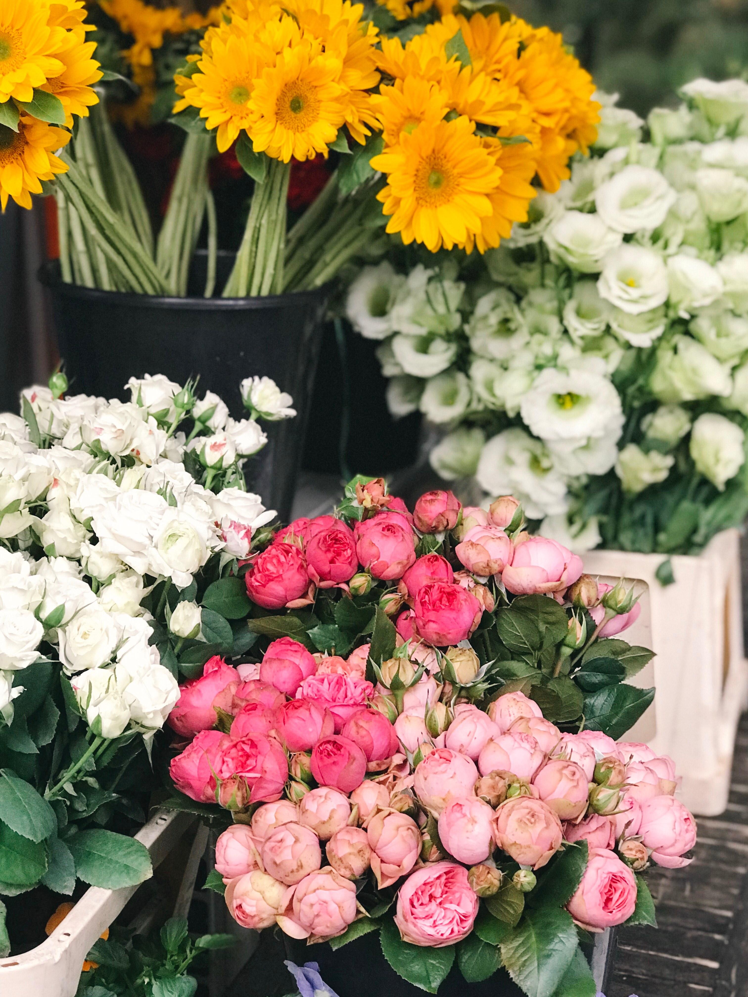 Flower Shop Wallpapers Top Free Flower Shop Backgrounds WallpaperAccess