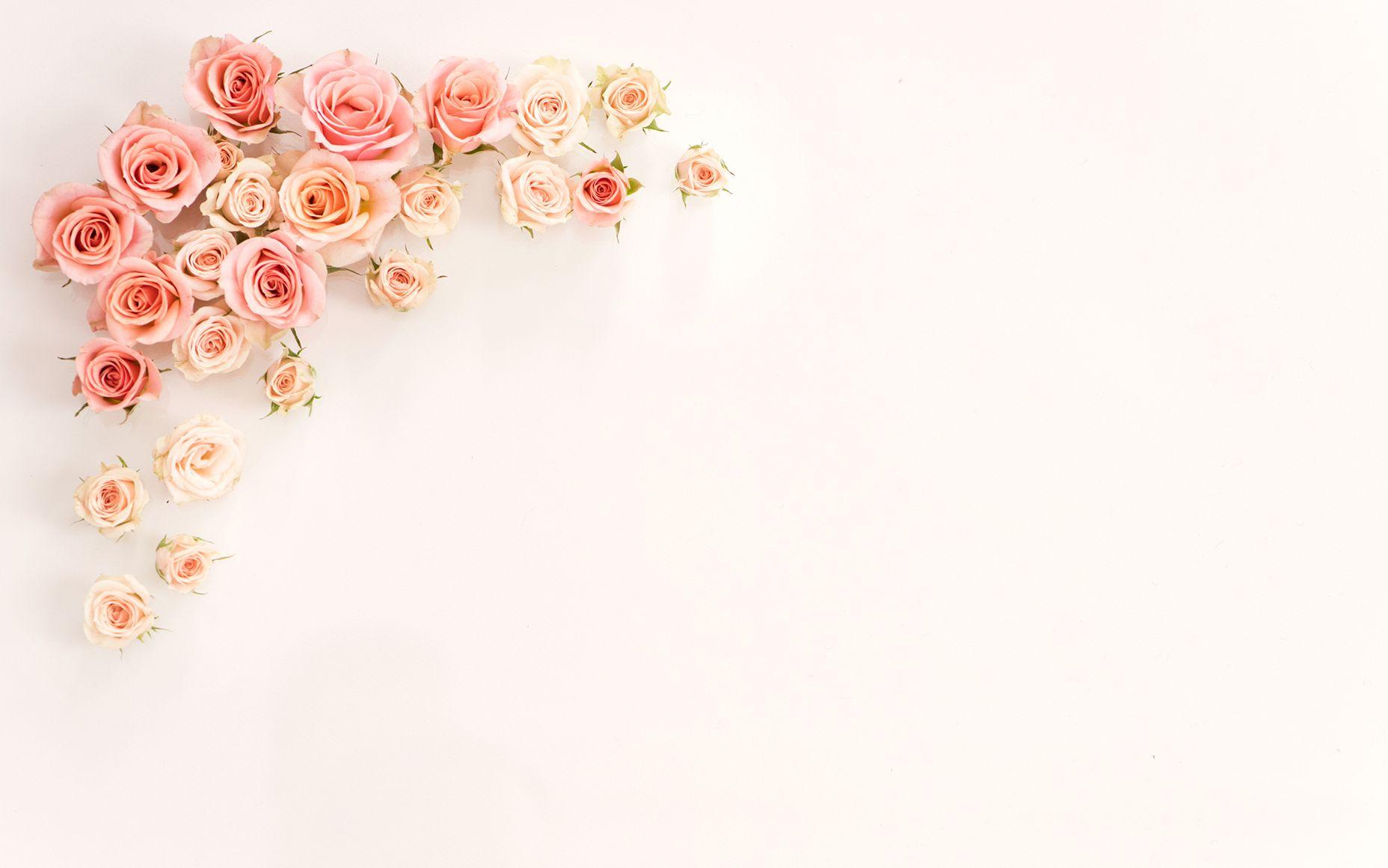 1856x1161 Rose Gold Background For Laptop