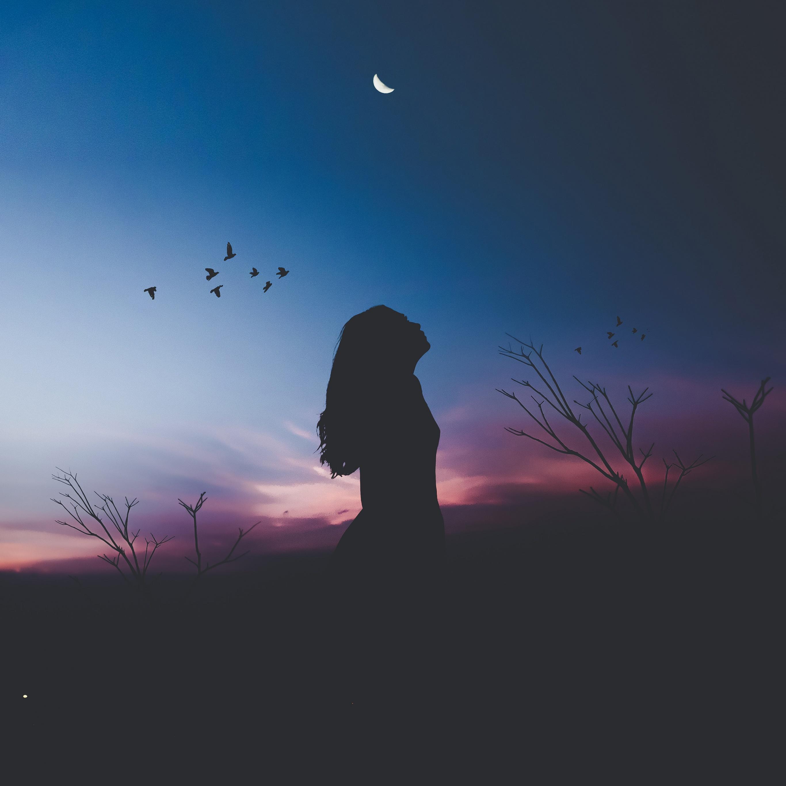 2732x2732 Girl Wallpaper 4K, Silhouette, Twilight, Sunset, Dusk, Evening sky, Nature