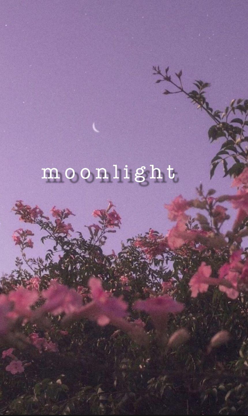 860x1444 I never knew, you can hold moonlight in your hands ♡. Moonlight aesthetic wallpaper, Cute simple wallpaper, Moonlight wallpaper