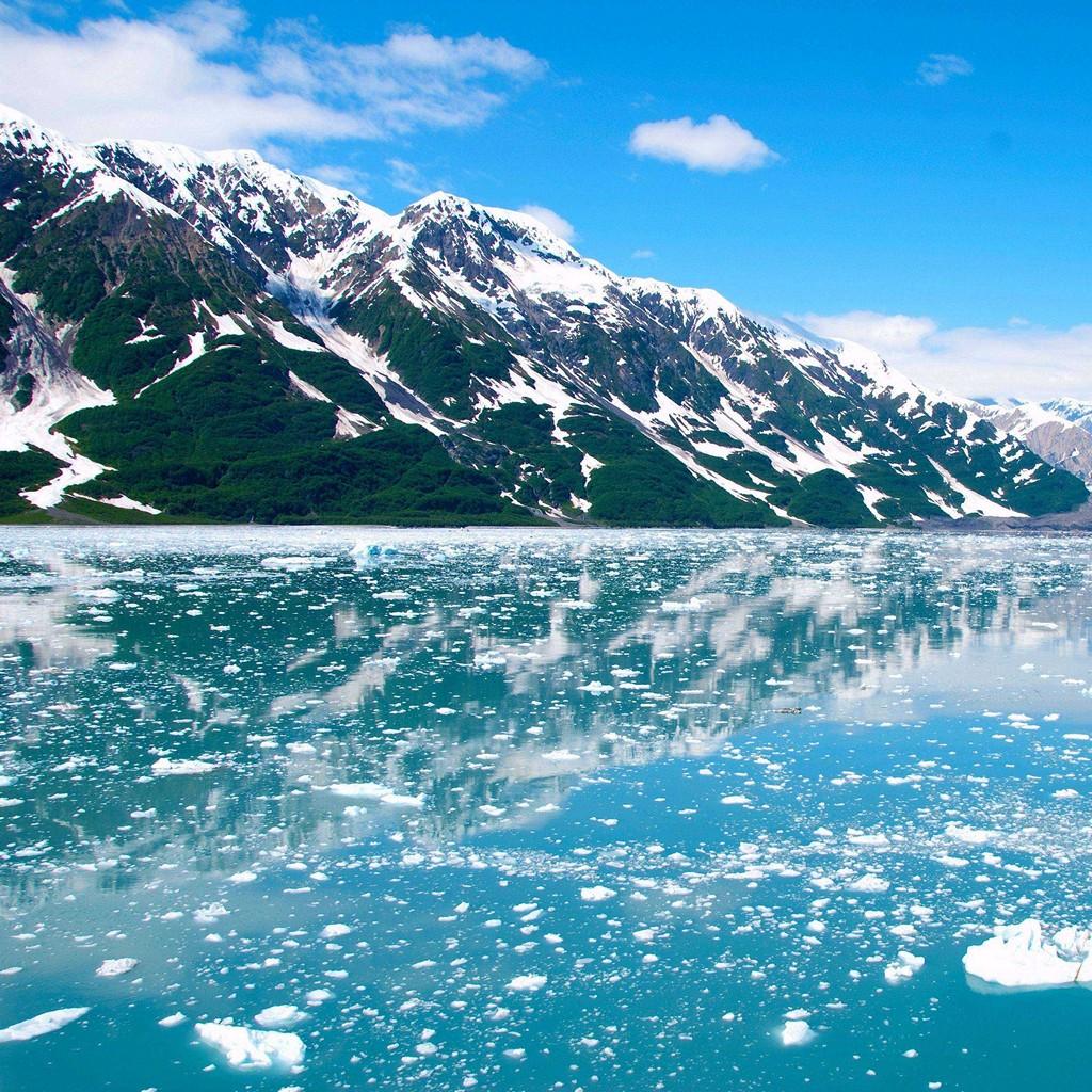 alaska case number lookup