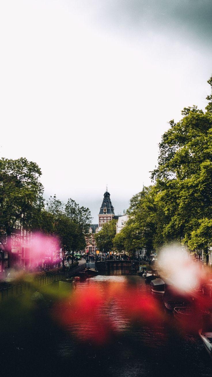 736x1308 Amsterdam iPhone Wallpaper. Tulips & Travels. Wanderlust wallpaper, iPhone wallpaper, Amsterdam travel guide