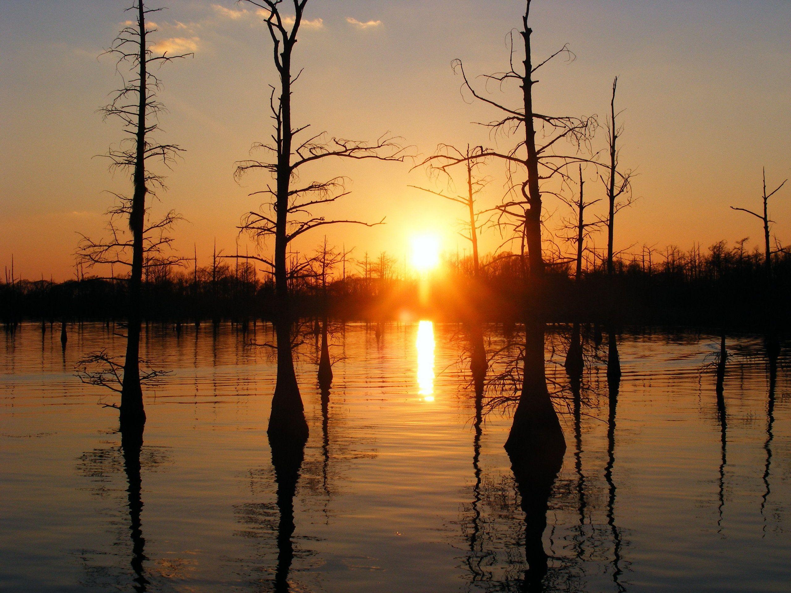 2560x1920 Bayou Sunset Wallpaper, HD Bayou Sunset Background