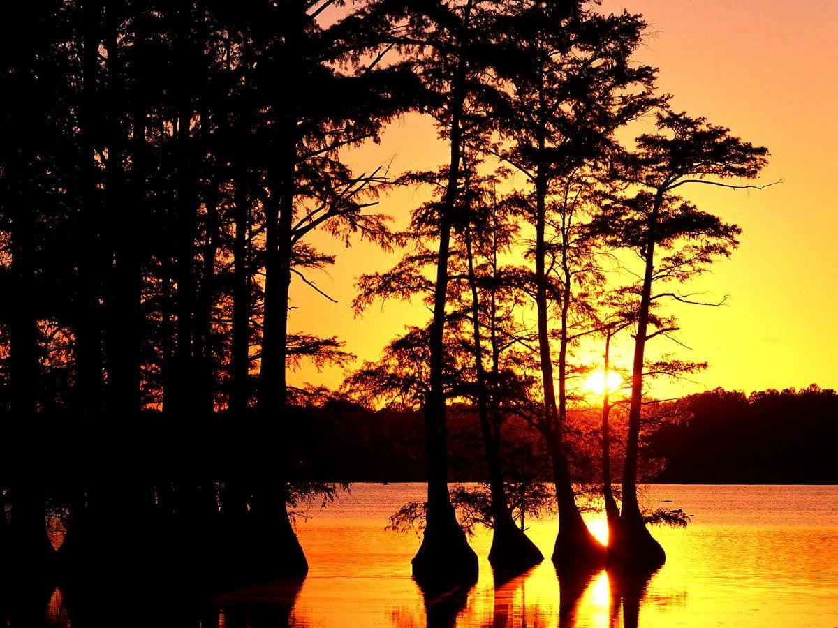 Bayou Wallpapers - Top Free Bayou Backgrounds - WallpaperAccess