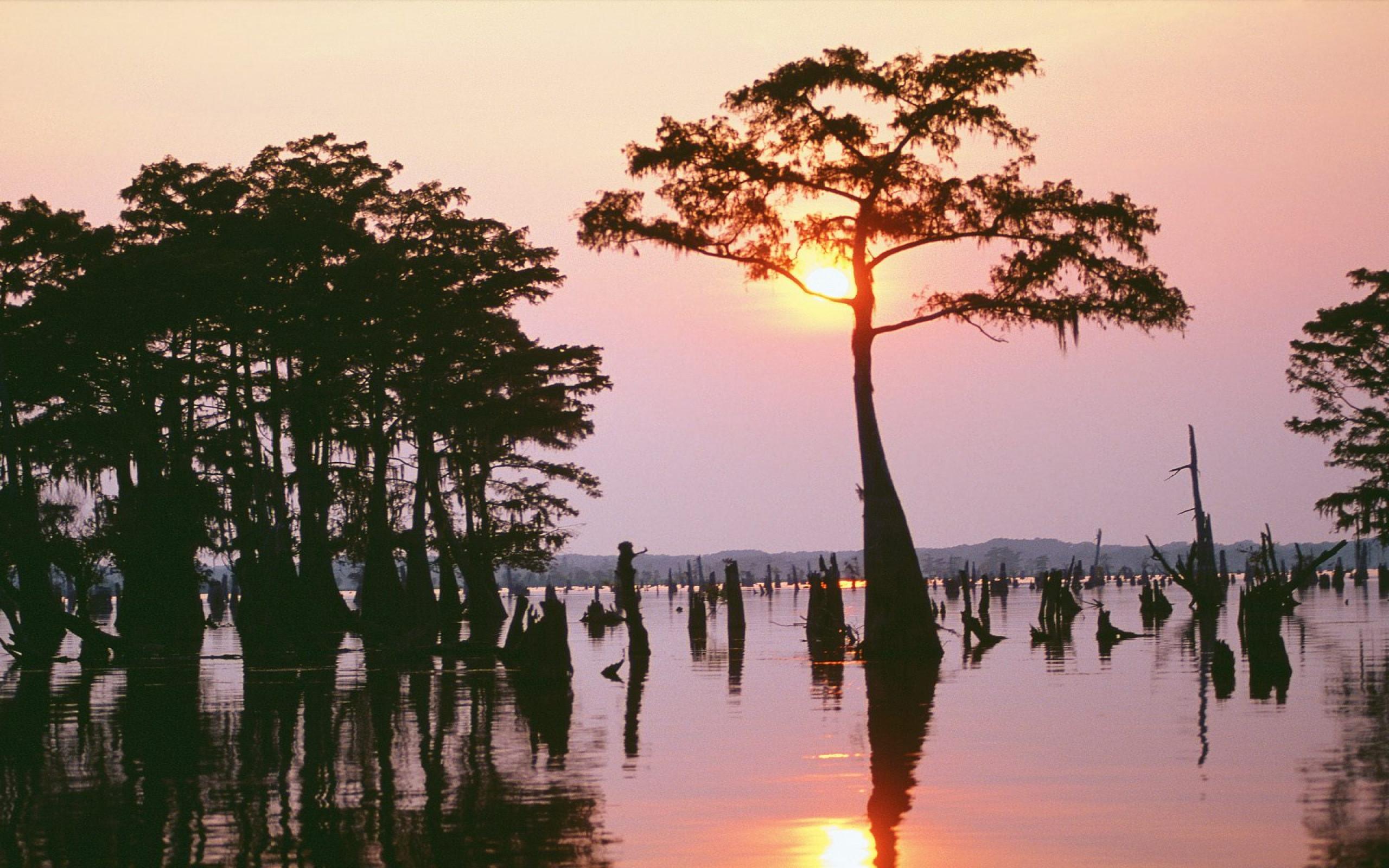 2560x1600 Atchafalaya Bayou, Louisiana ID 31