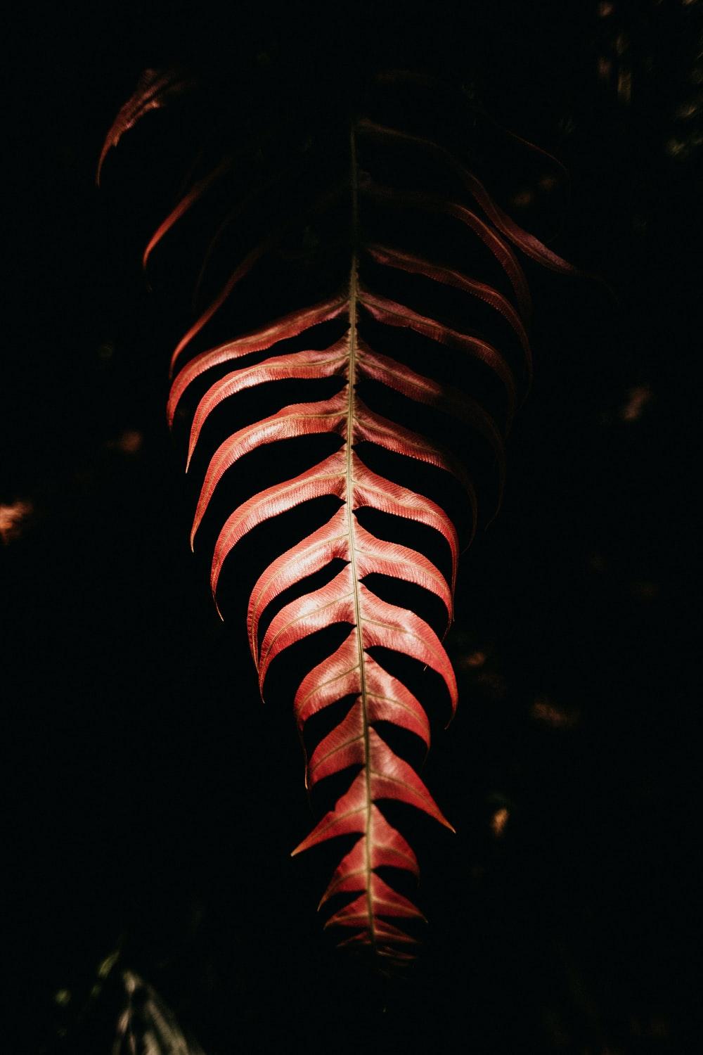 1000x1500 Chill Wallpaper: Free HD Download [HQ]