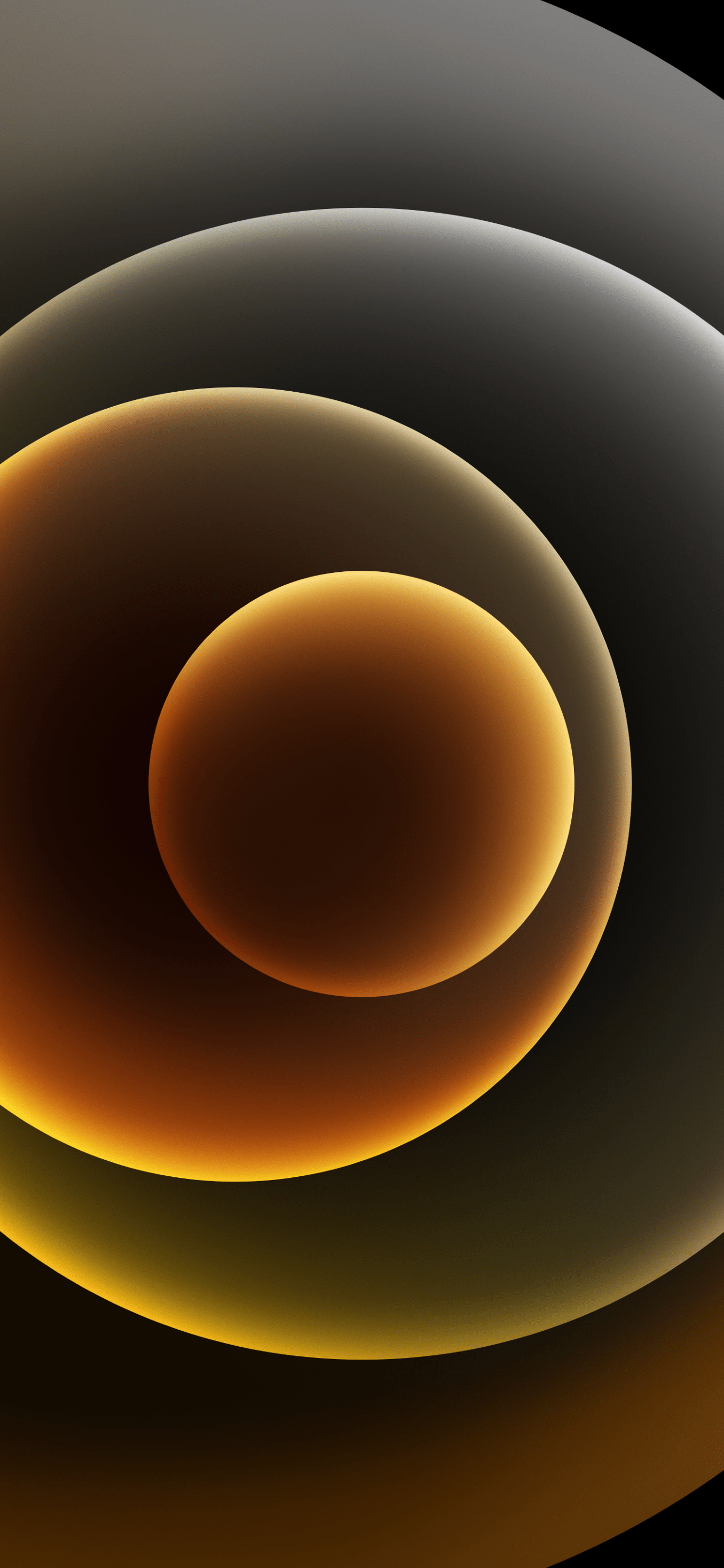 1356x2934 Download the iPhone 12 wallpaper here