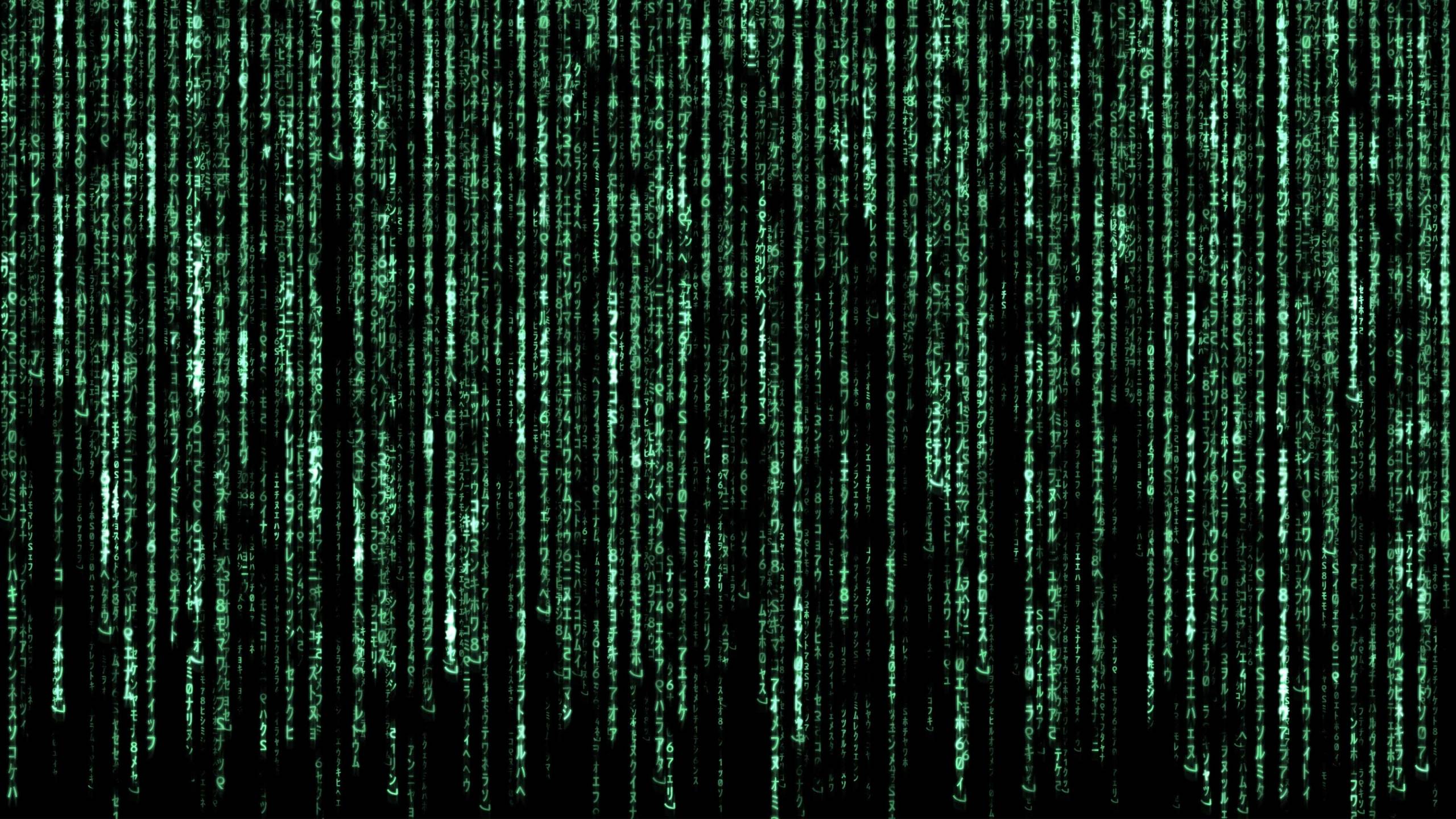 Matrix Digital Binary Code Liv  Ứng dụng trên Google Play