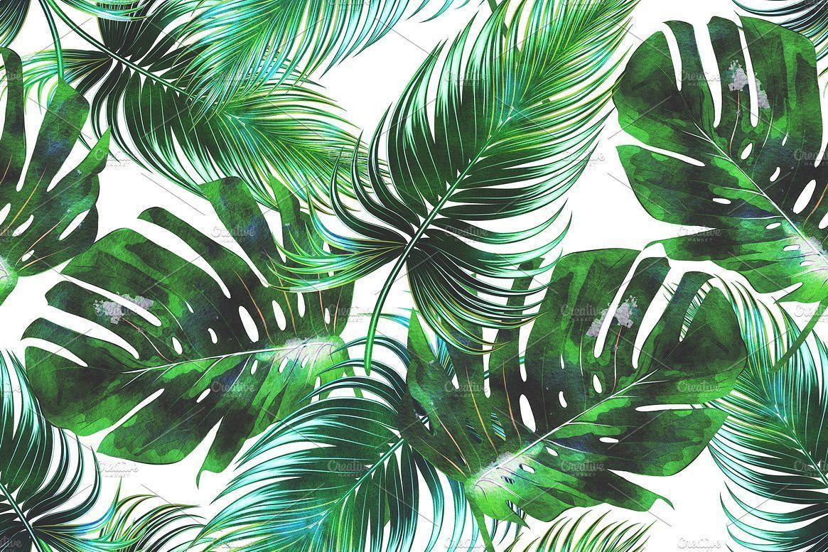 1165x777 Pink Aesthetic Tropical Leaves Desktop Wallpaper