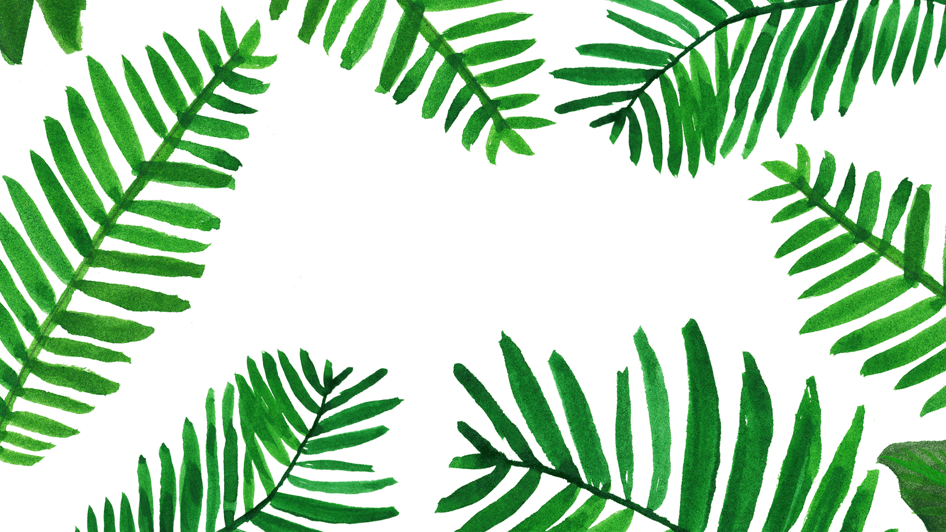 1920x1080 Pinterest Leaves Wallpaper Laptop