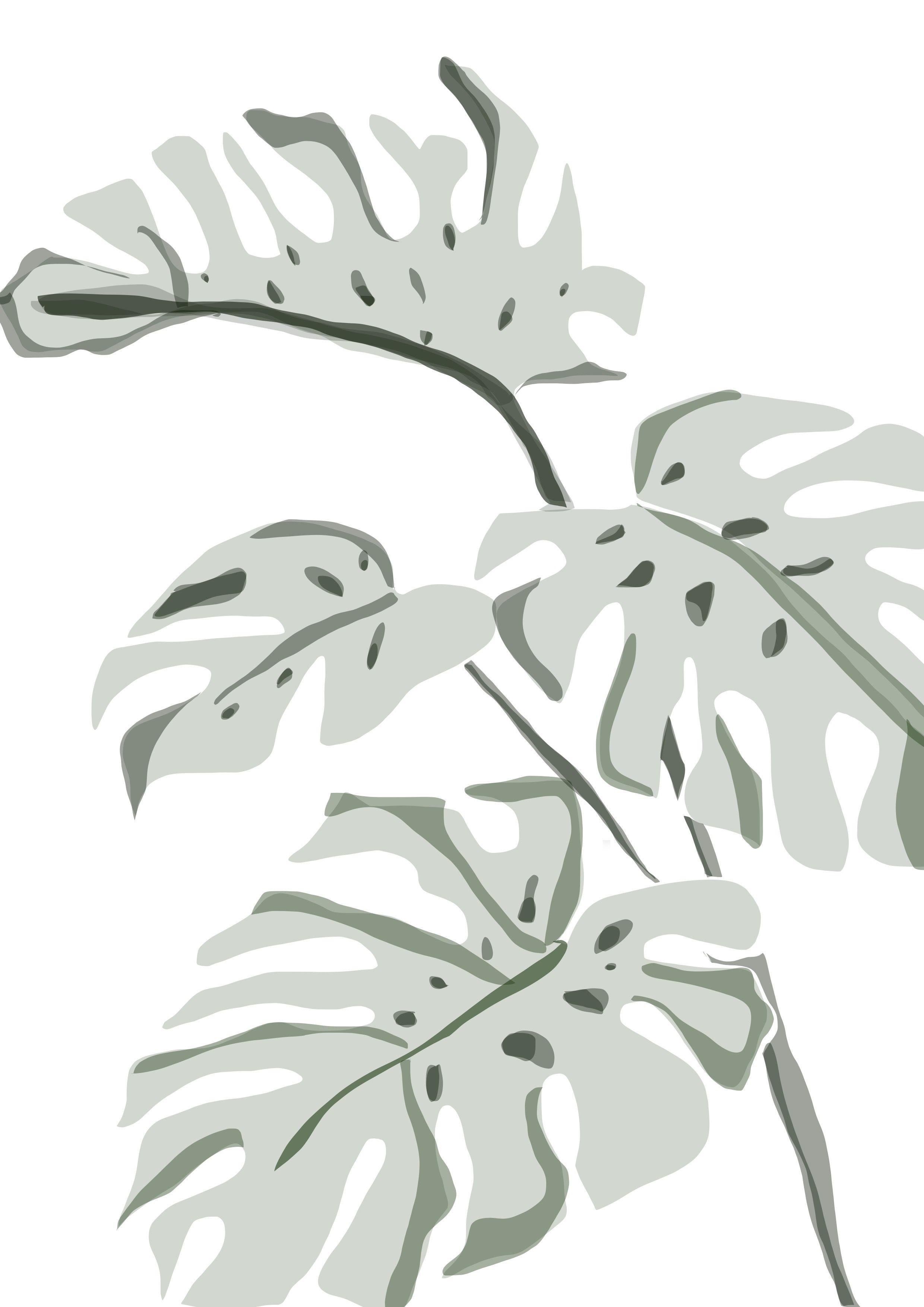2480x3508 Botanical leaf print. Phone wallpaper image, Minimalist wallpaper, iPhone background wallpaper