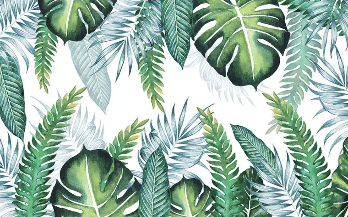 1134x708 Aesthetic Palm Leaves Wallpaper