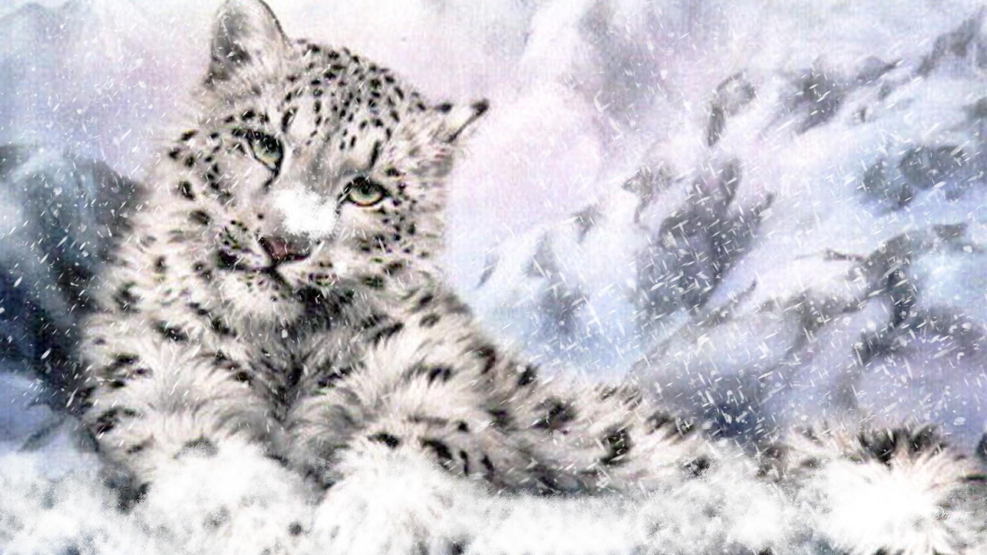1920x1080 Snow Leopard HD Wallpaper