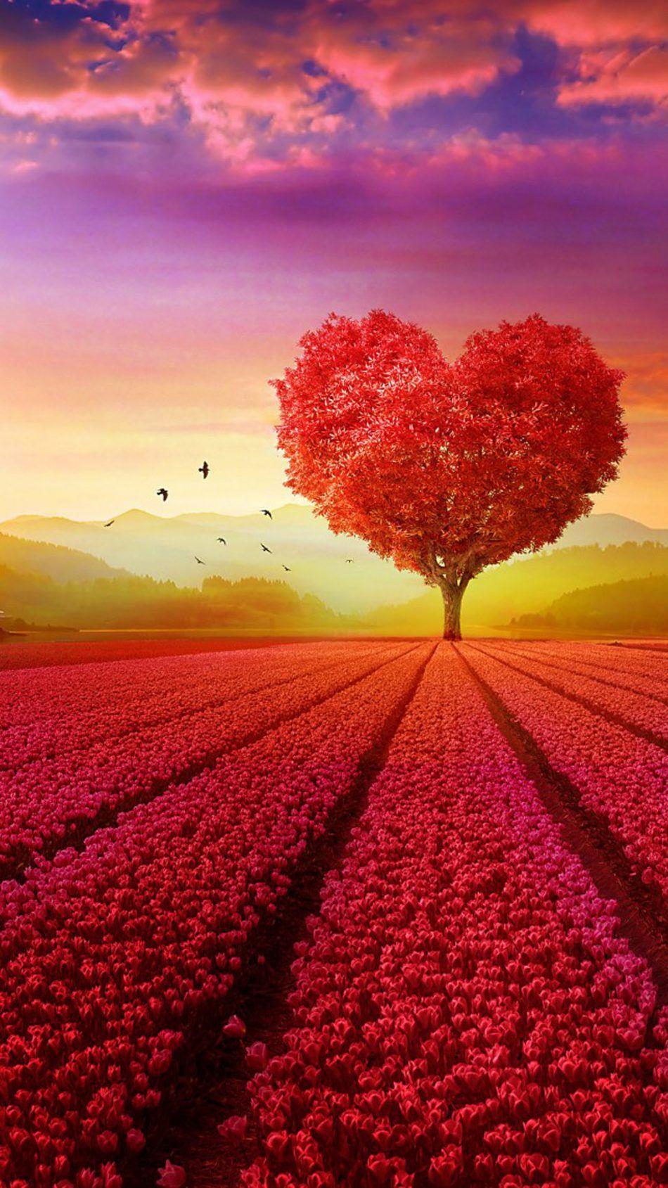 950x1689 Love Heart Shape Tree Flowers 4K Ultra HD Mobile Wallpaper. Tree wallpaper background, Beautiful landscape wallpaper, Love wallpaper romantic