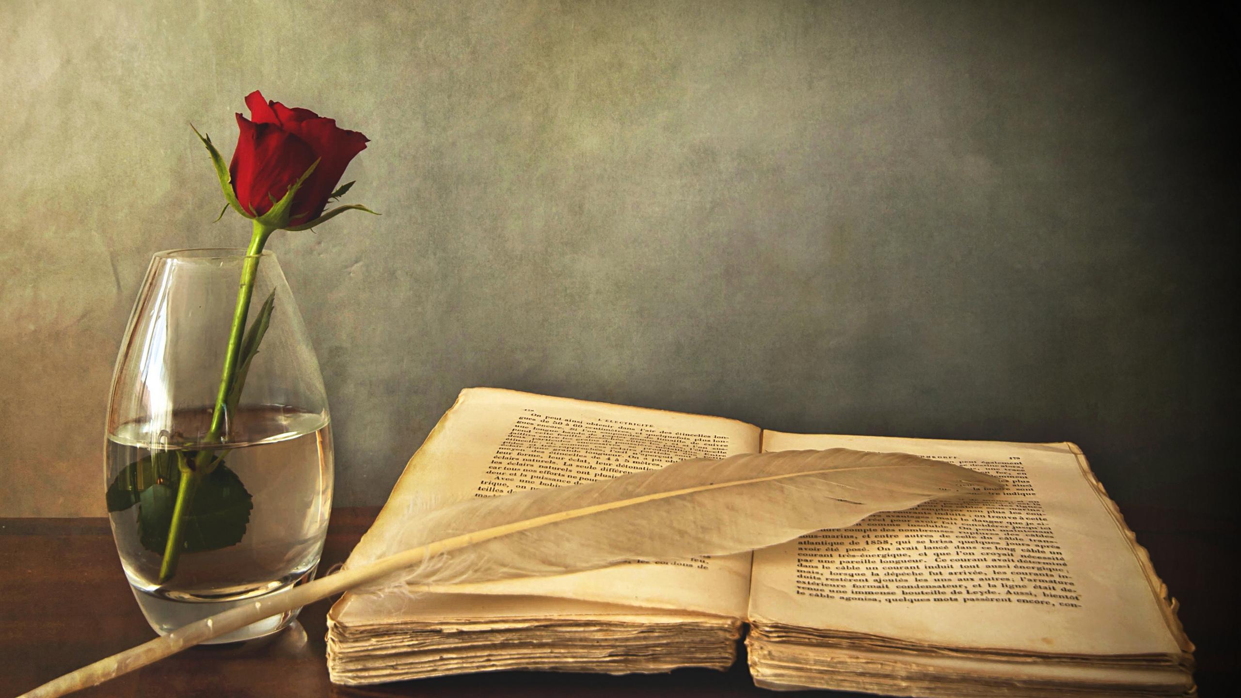 2560x1440 Wallpaper Book, Old, Pen, Table, Vase, Rose, Red And Pen Background