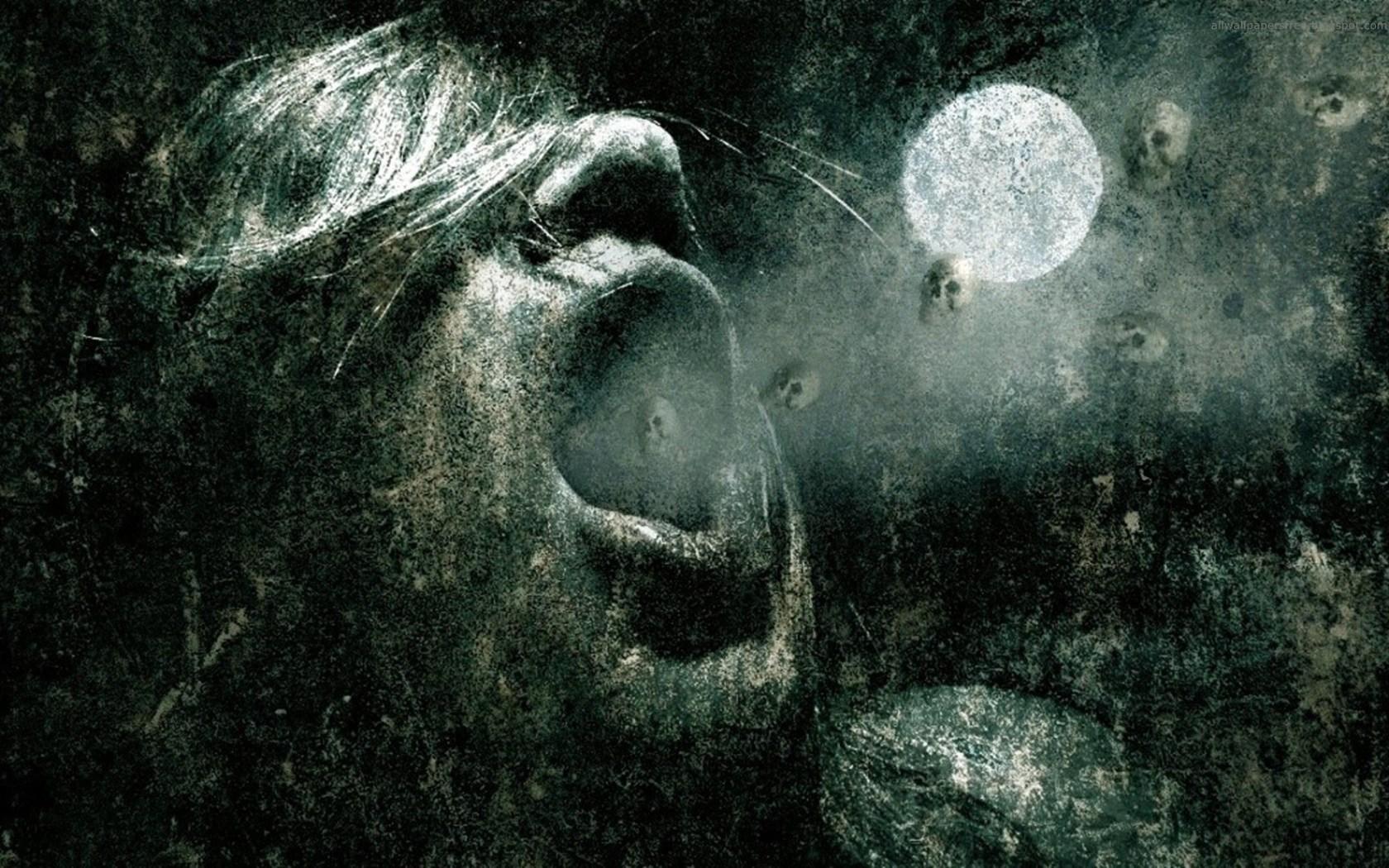 1680x1050 Weird Tales: Essays and Reviews. Dr. Rinaldi's Horror Cabinet