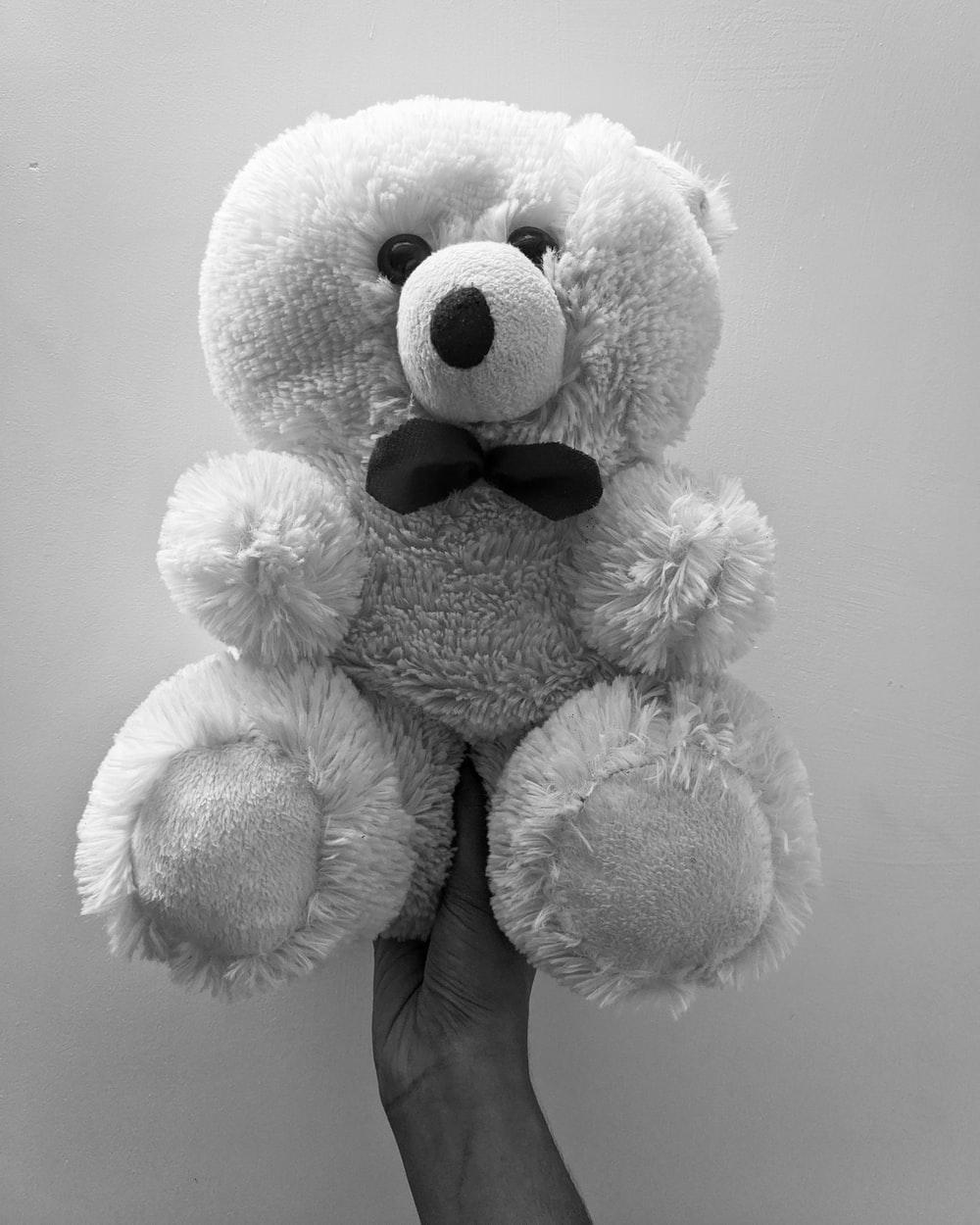 1000x1250 Best Teddy Bear Picture [HD]. Download Free Image