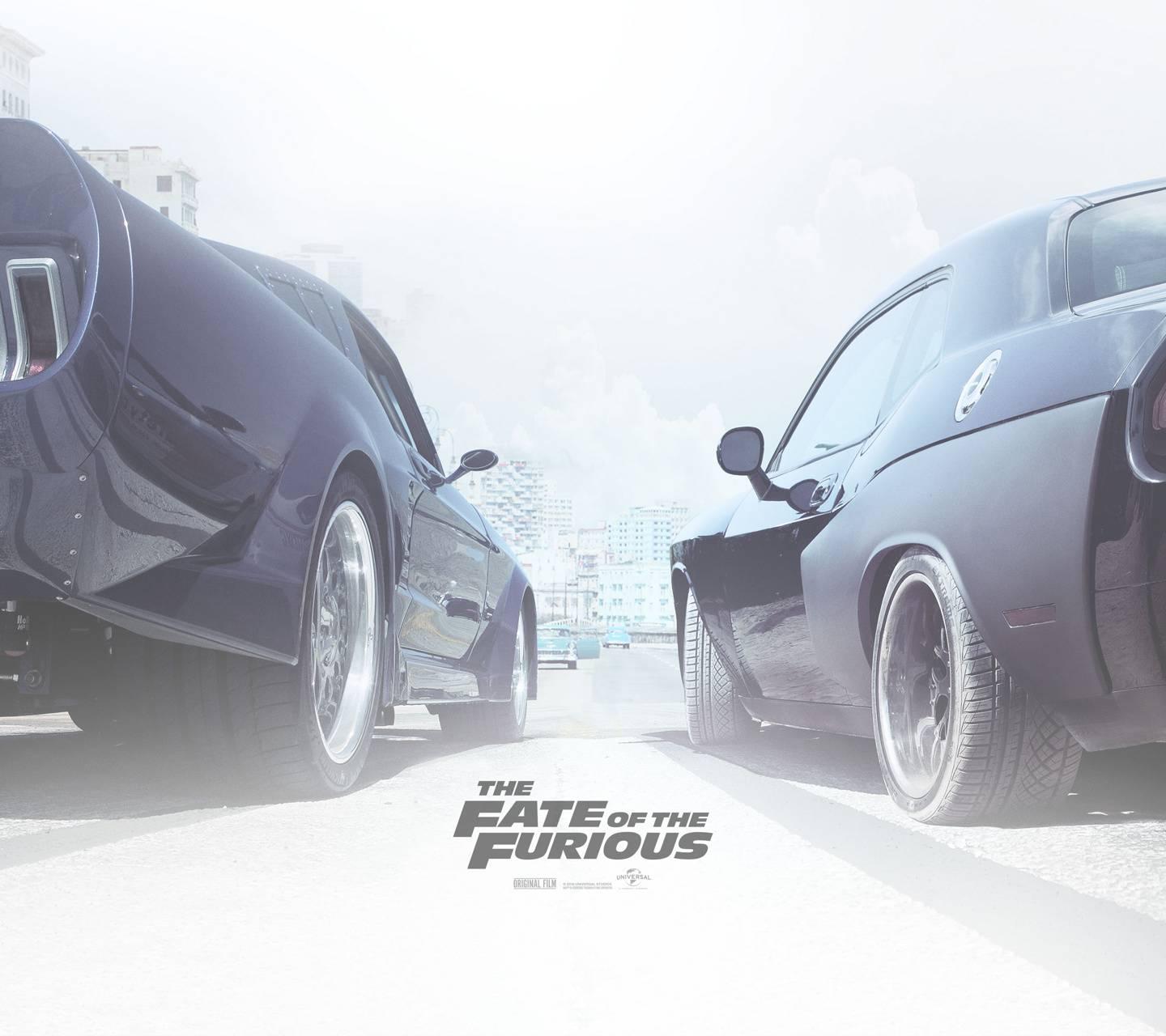 1440x1280 Fate Of The Furious Wallpaper