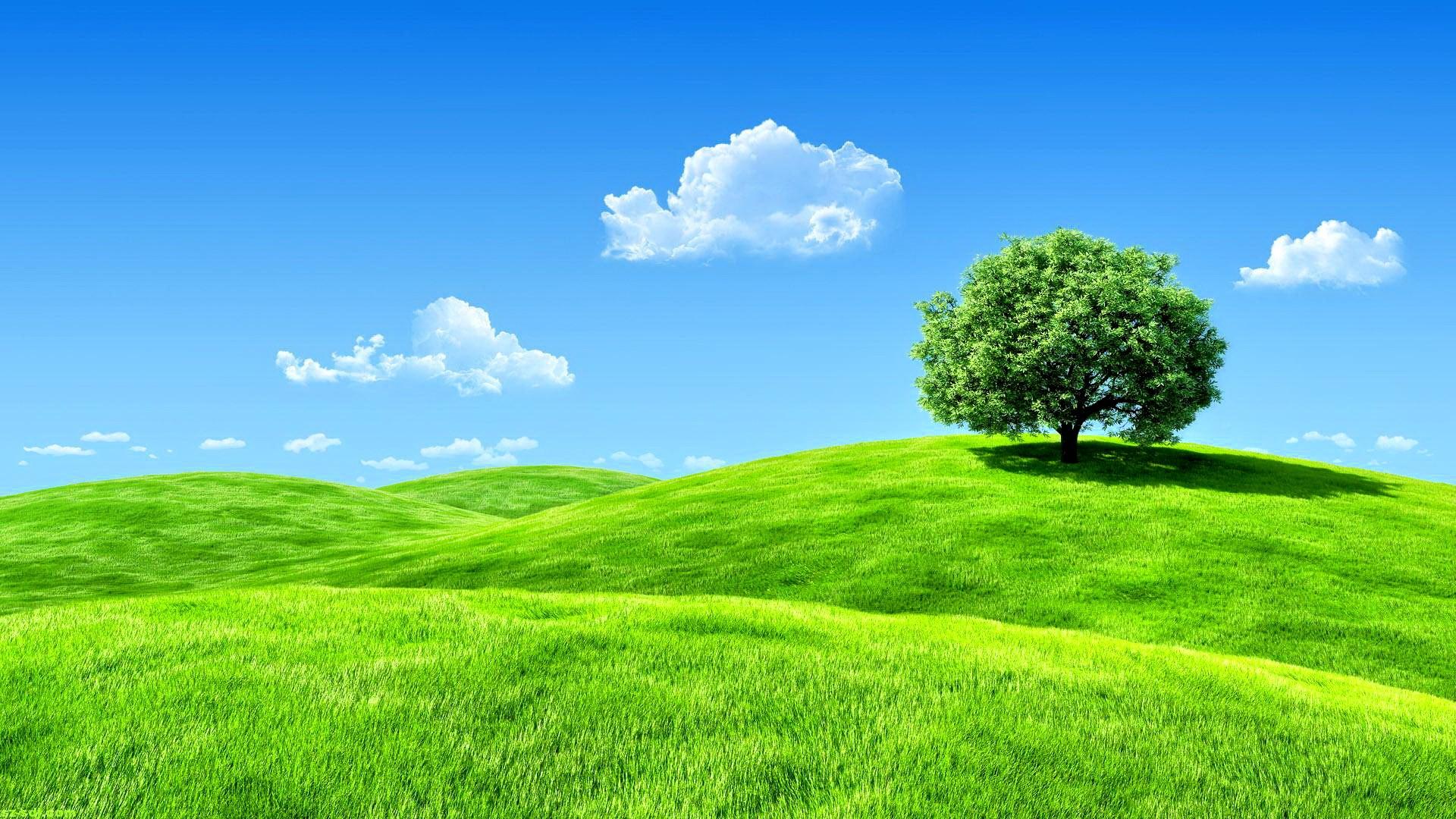 1920x1080 Windows 10 HD Desktop Full Screen Wallpaper