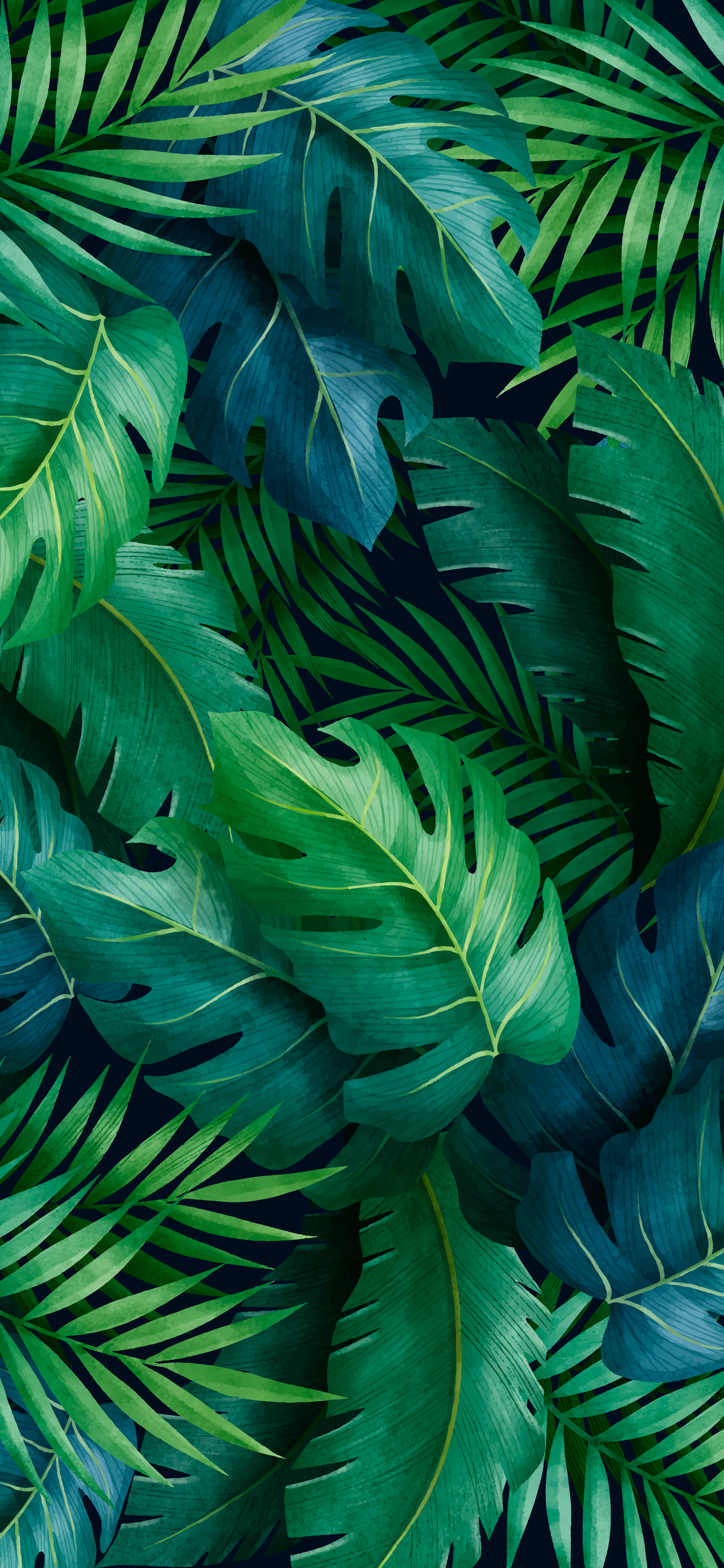 2410x5218 Tropical Leaves Wallpaper For Tech