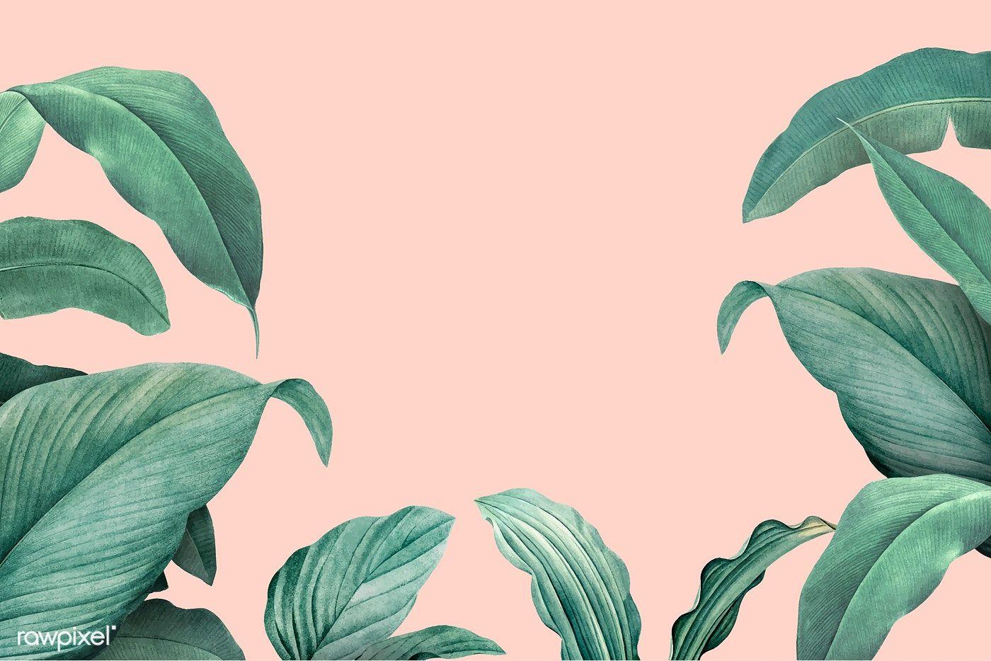 1400x934 Download premium vector of Hand drawn tropical leaves on a pastel pink. Foliage background, Desktop wallpaper art, Aesthetic desktop wallpaper