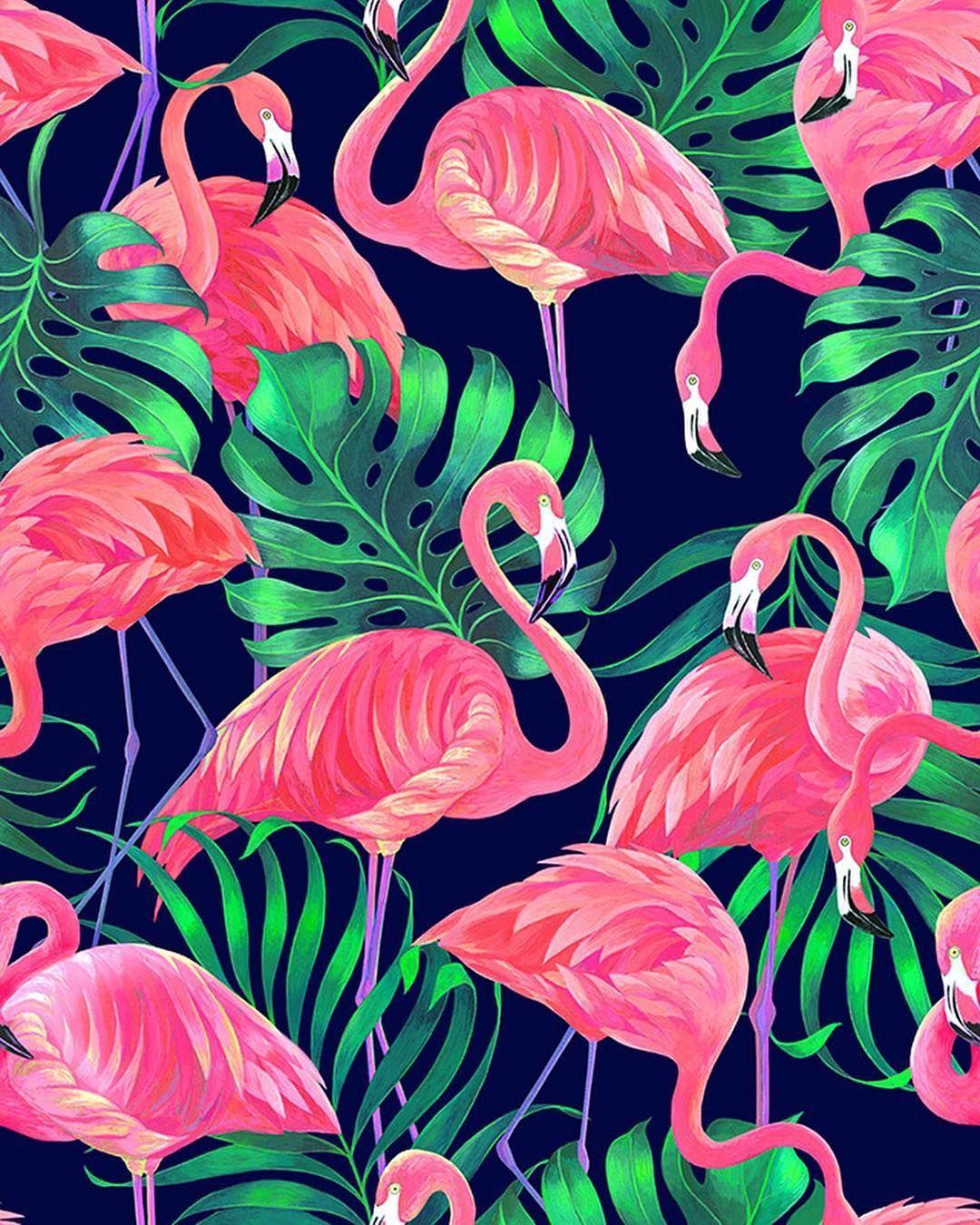1080x1350 Patternbank.com Elmiraamirova #Repost ・・・ 'Flamingos'. .. .. #patternbank #leaves. Flamingo Illustration, Flamingo Wallpaper, Flamingo Art Print