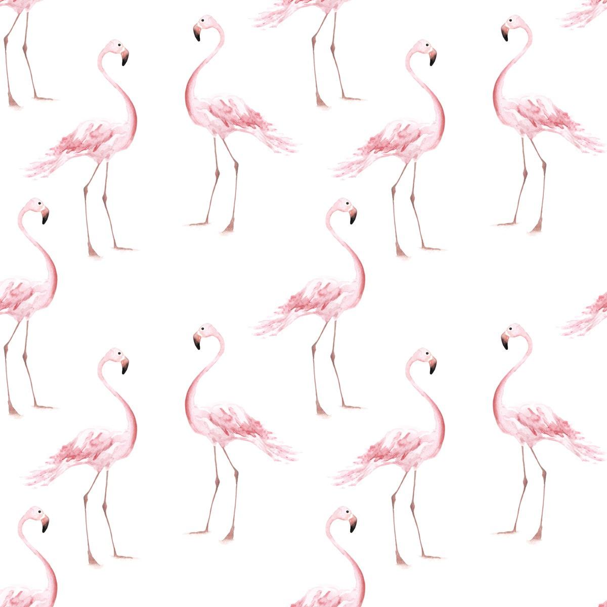 1200x1200 Flamingos Wallpaper.com Wallstickers And Wallpaper Online Store