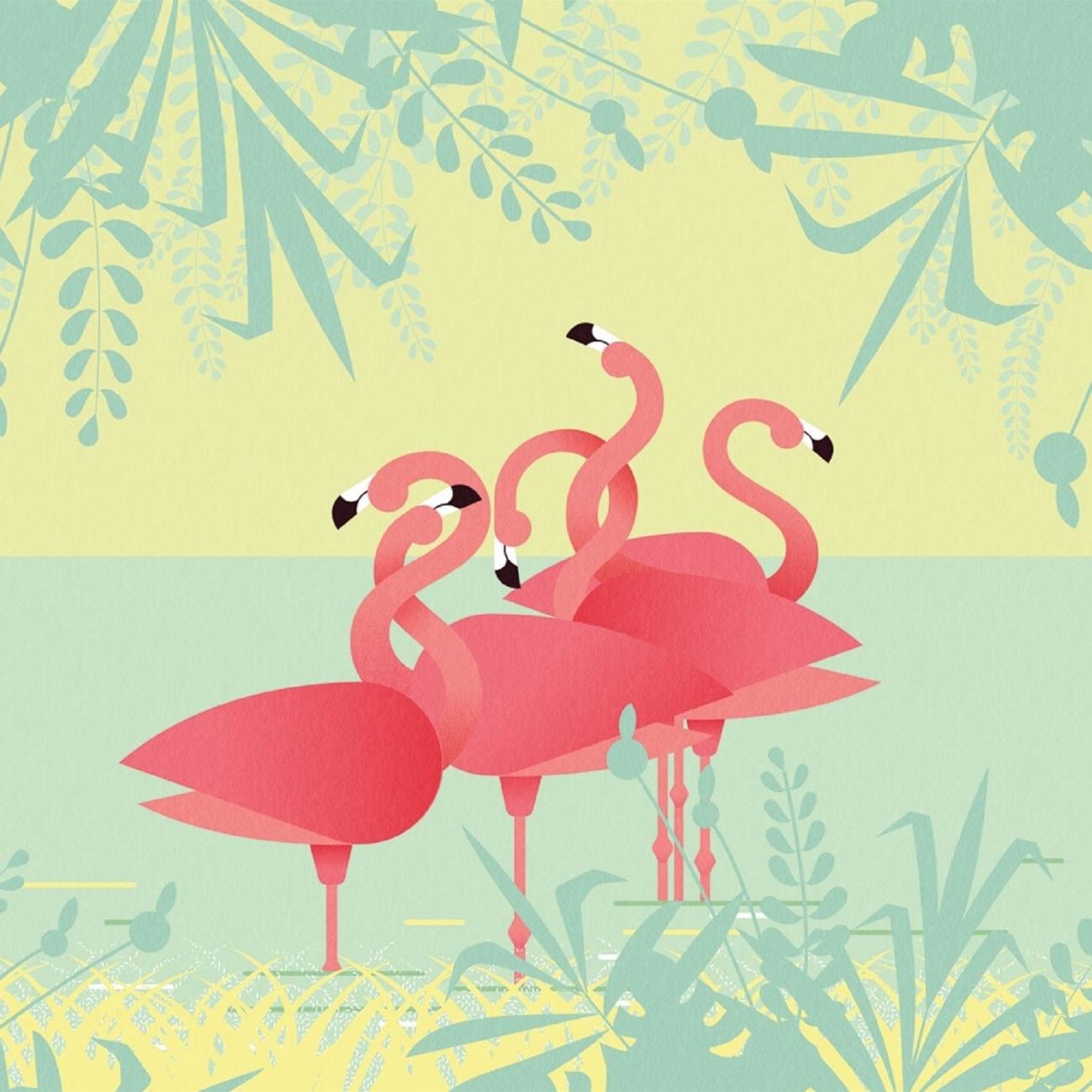 12 Fancy Flamingo iPhone X Wallpapers  Preppy Wallpapers