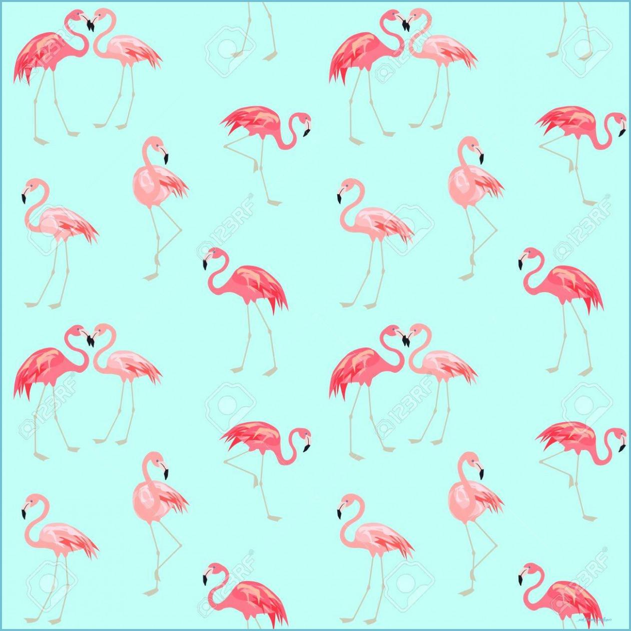 1261x1261 Wallpaper With Cute Pink Flamingo Flamingo Wallpaper