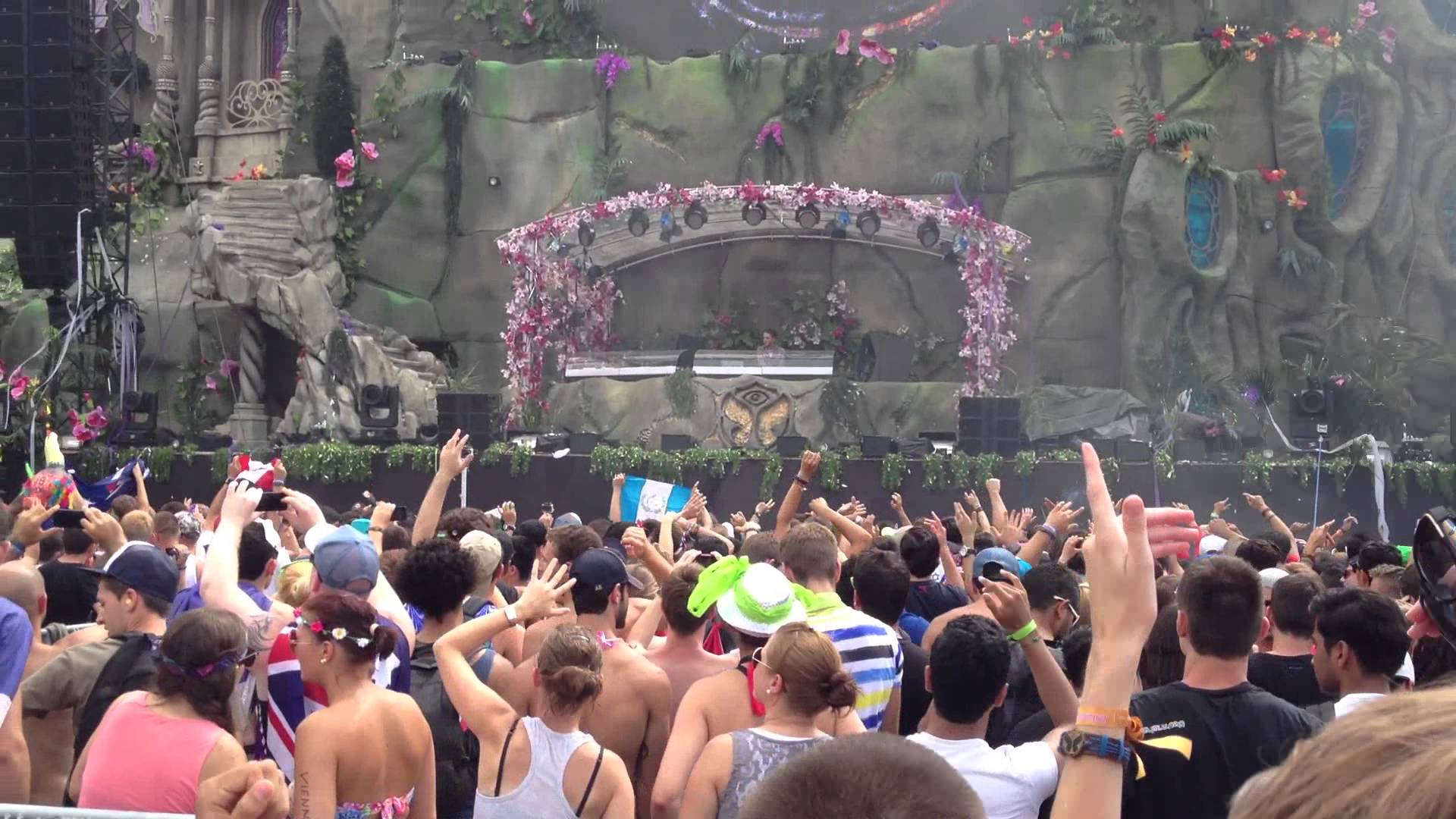 1920x1080 Zedd Clarity Tomorrowland 2013