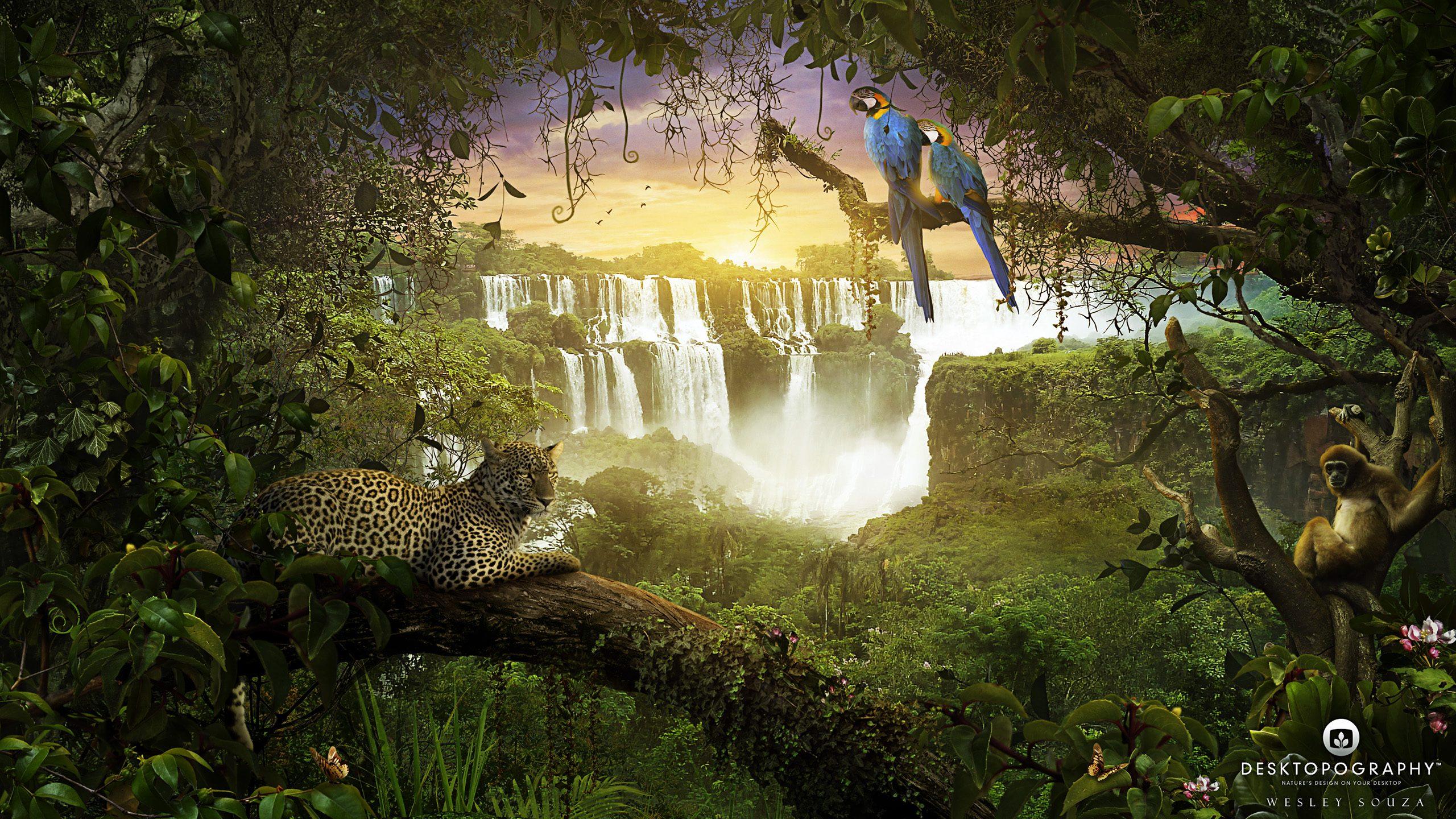 2560x1440 Amazonia