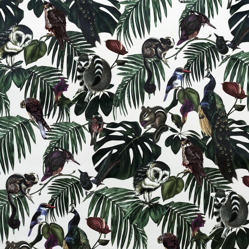 1000x999 Amazonia