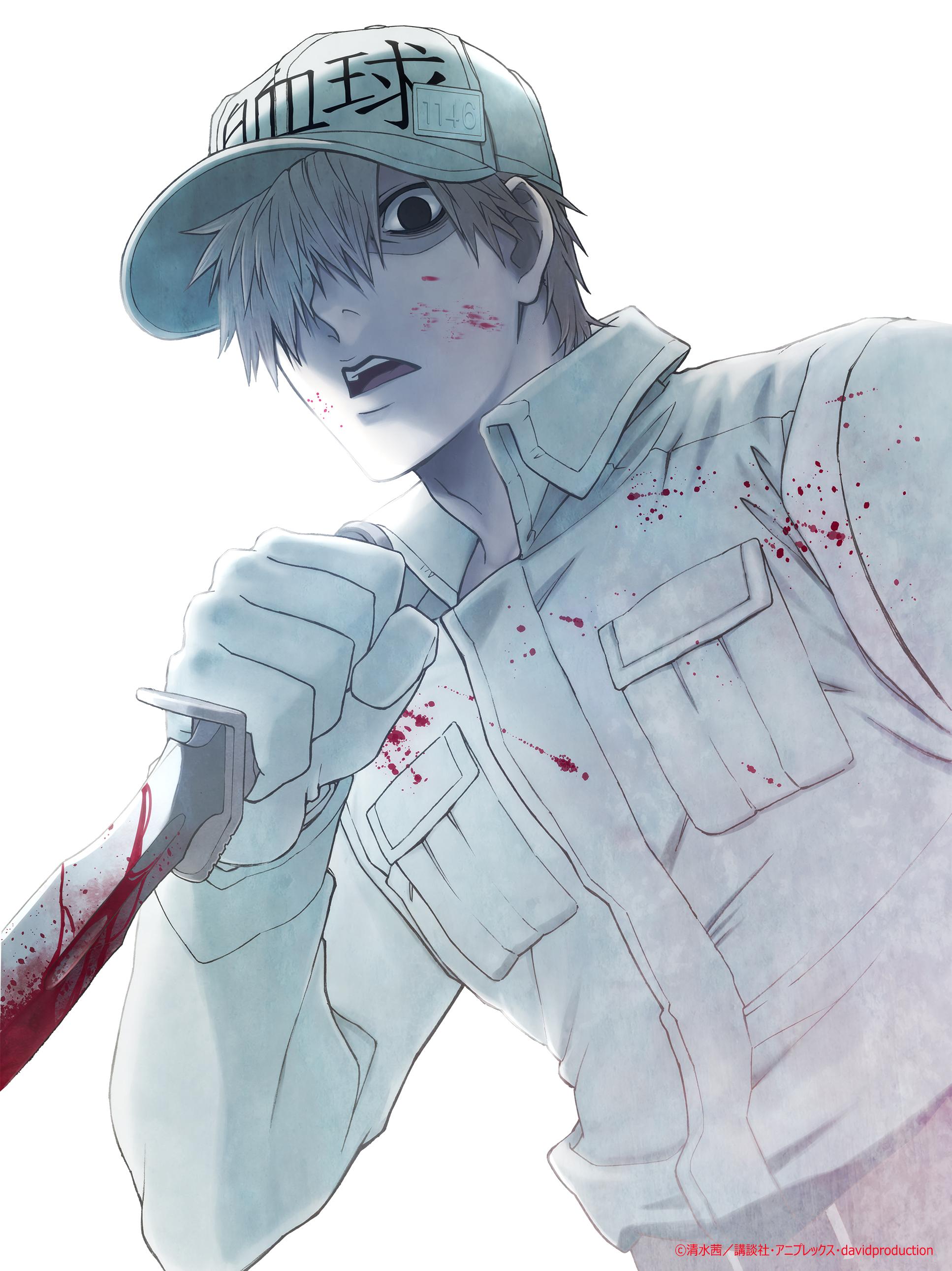 Hataraku Saibou Wallpapers Top Free Hataraku Saibou Backgrounds Wallpaperaccess