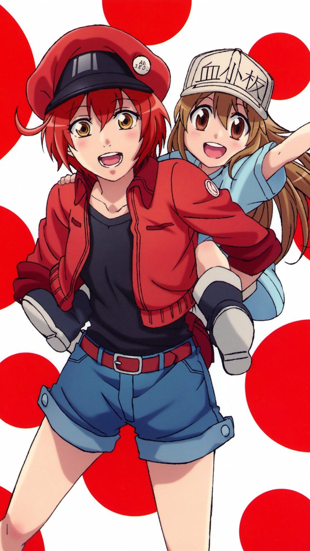 1080x1920 Hataraku Saibou Erythrocyte Platelet.iPhone 7 Plus wallpaper 1080×1920