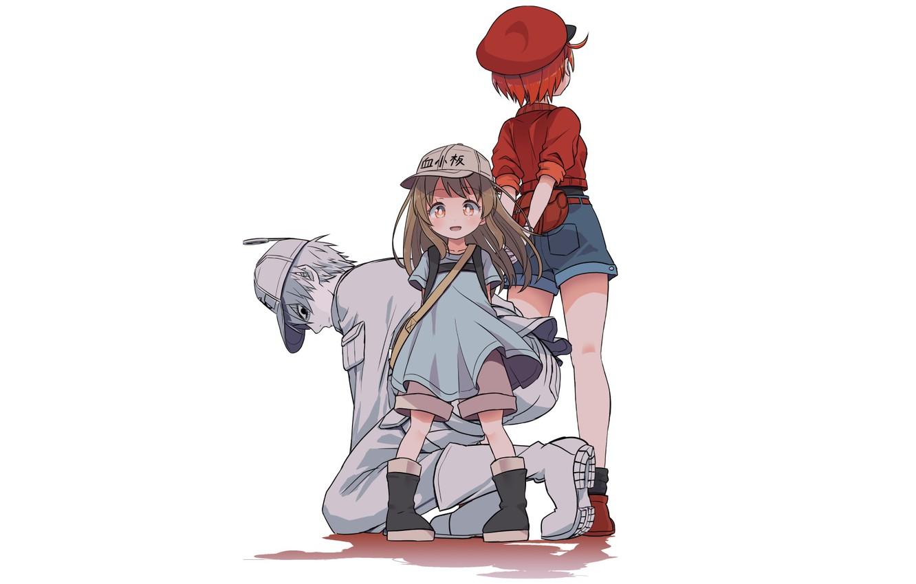1332x850 Wallpaper girls, Background, guy, hataraku saibou image for desktop, section сёнэн