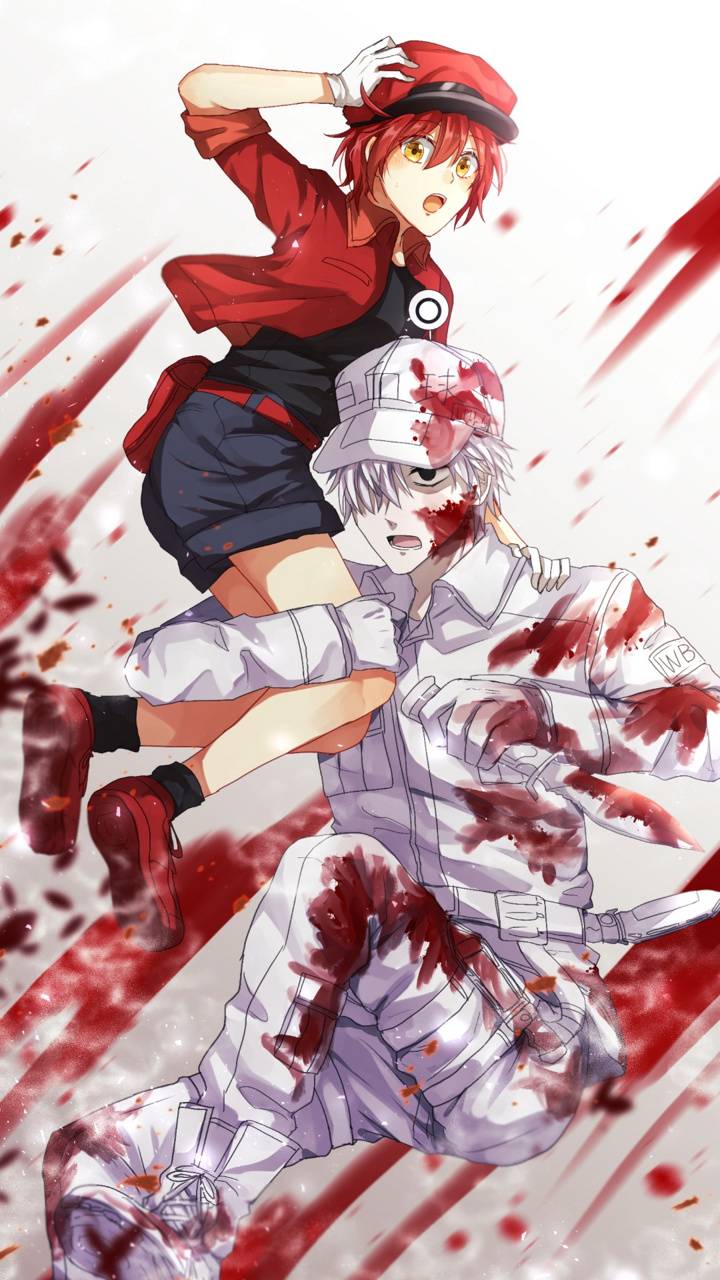720x1280 Hataraku Saibou Phone HD Wallpaper