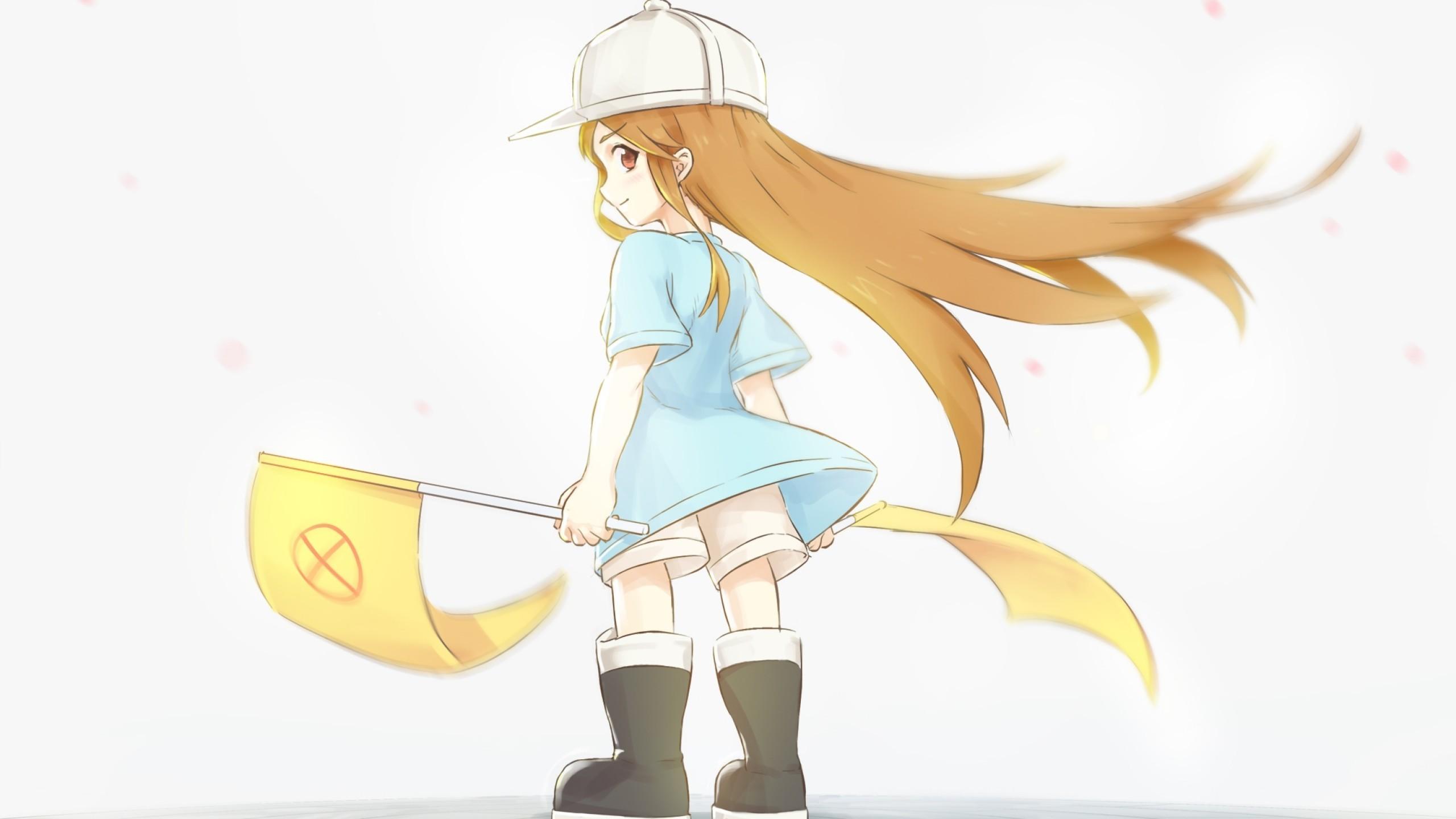 2560x1440 Download 2560x1440 Kesshouban, Cells At Work, Hataraku Saibou Wallpaper for iMac 27 inch