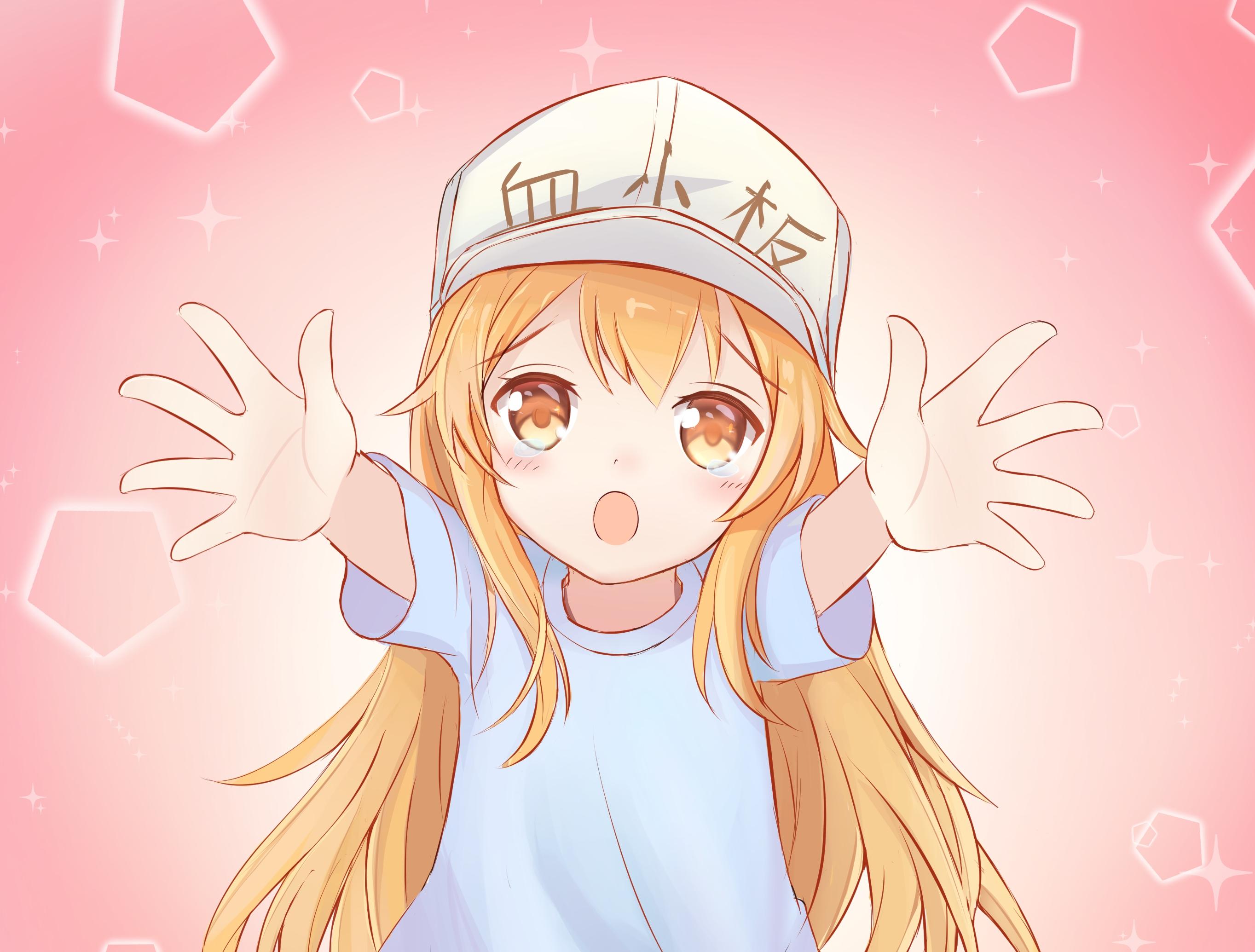 2727x2069 Download 2727x2069 Keshouban, Hataraku Saibou, Cute, Blonde, Long Hair Wallpaper