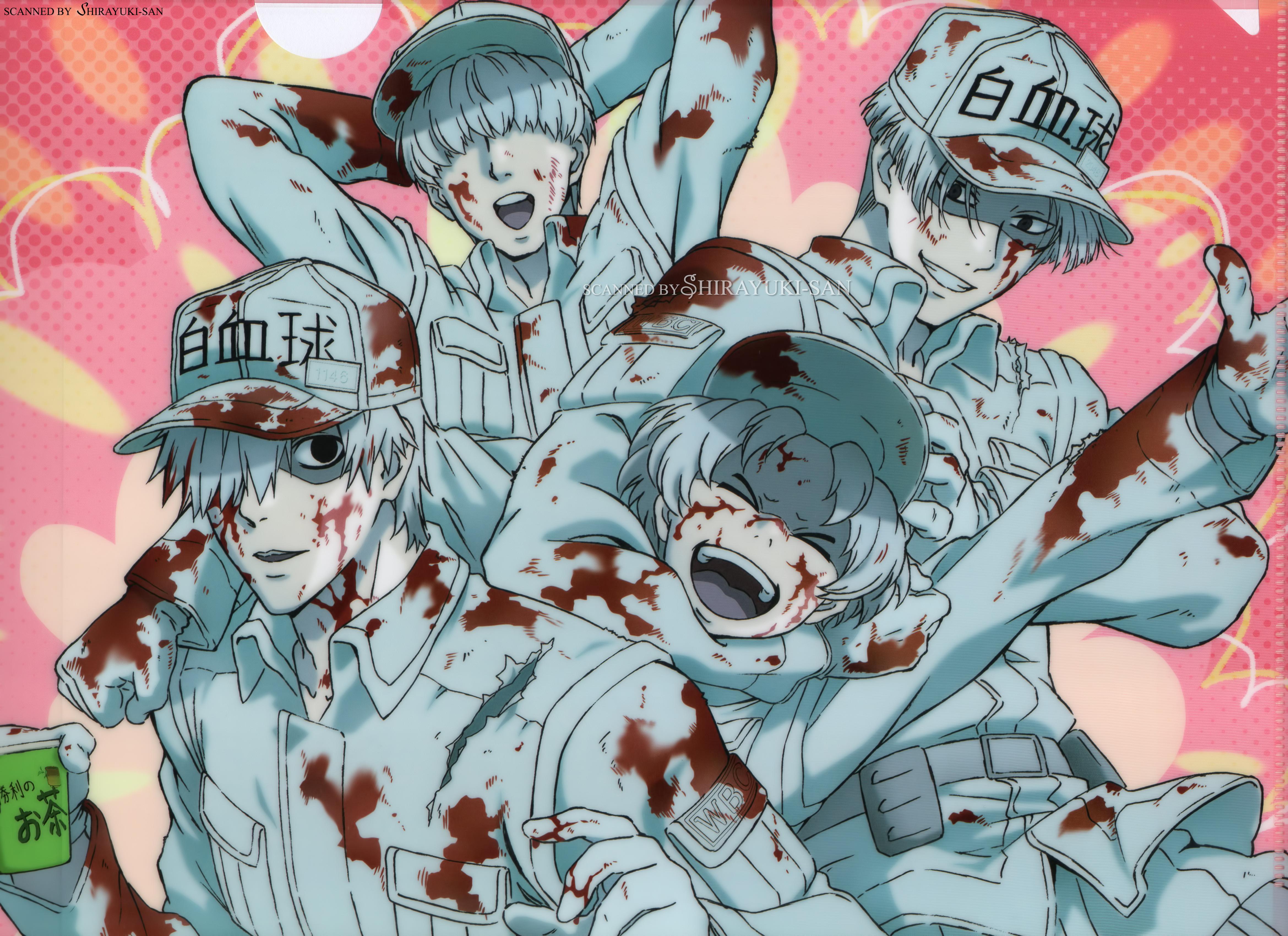 Hataraku Saibou Wallpapers - Top Free Hataraku Saibou Backgrounds