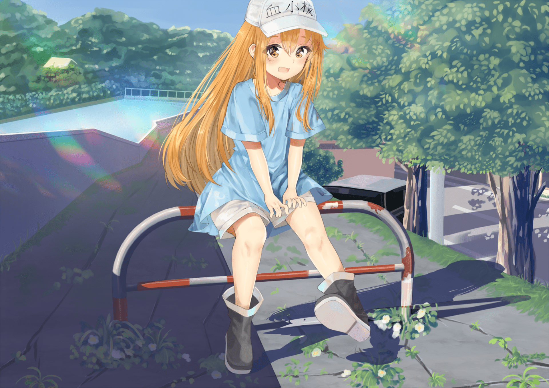 1920x1357 1920x1357 Platelet (Cells at Work!), Hataraku Saibou wallpaper