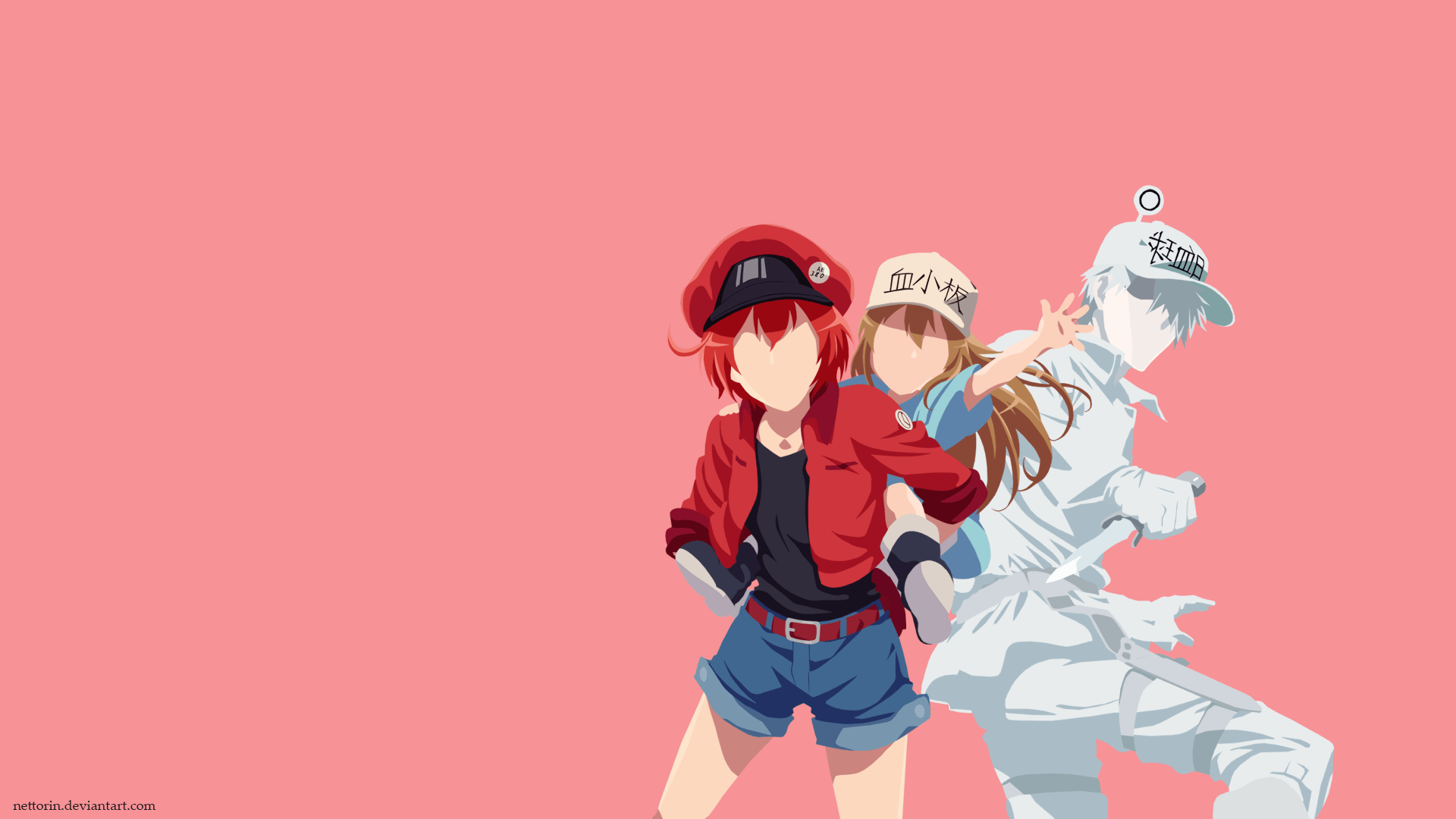1920x1080 Hataraku Saibou Wallpaper