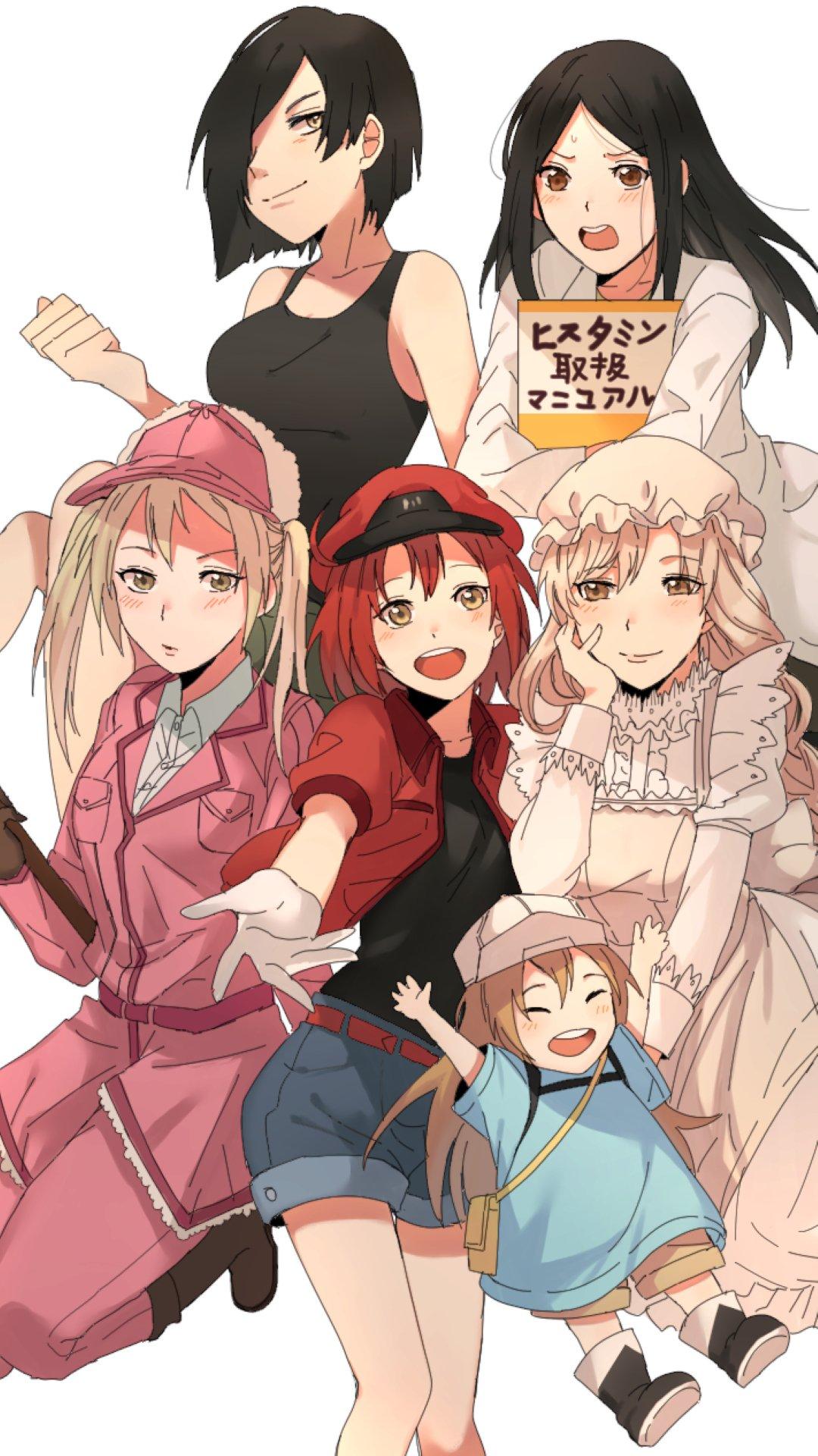1080x1920 Hataraku Saibou 1080×1920