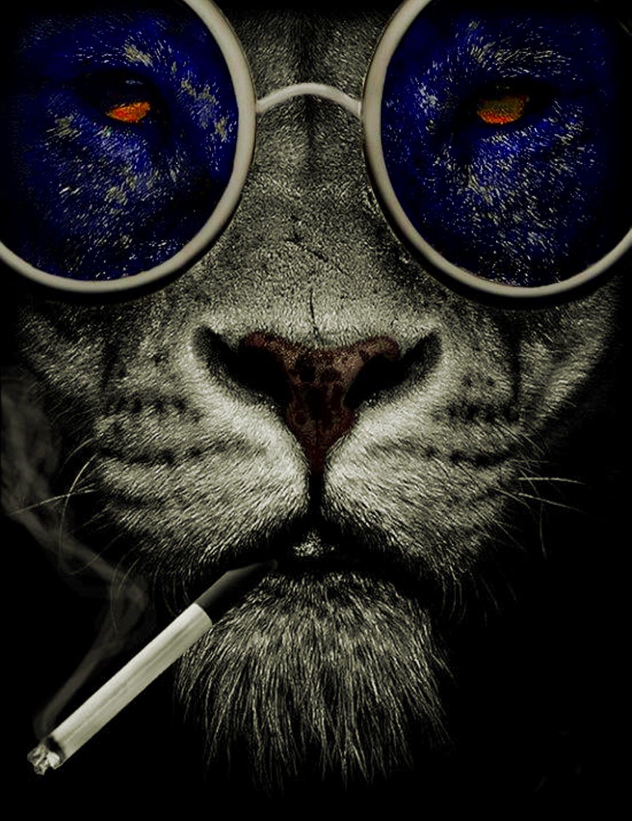 1280x1664 The Anthony Bourdain of cats. Lion art, Best wallpaper android, Colour explosion
