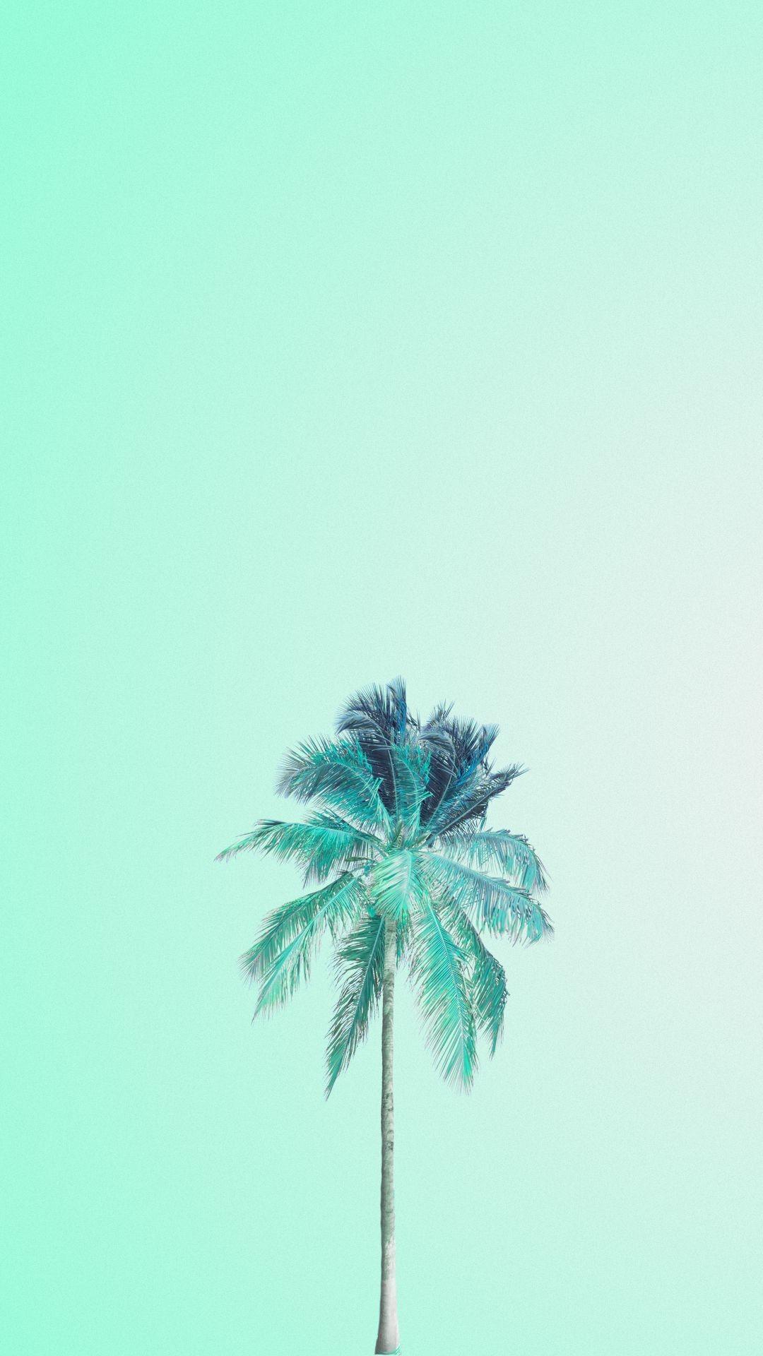 1080x1920 Mint Pastel Teal Aesthetic Wallpaper